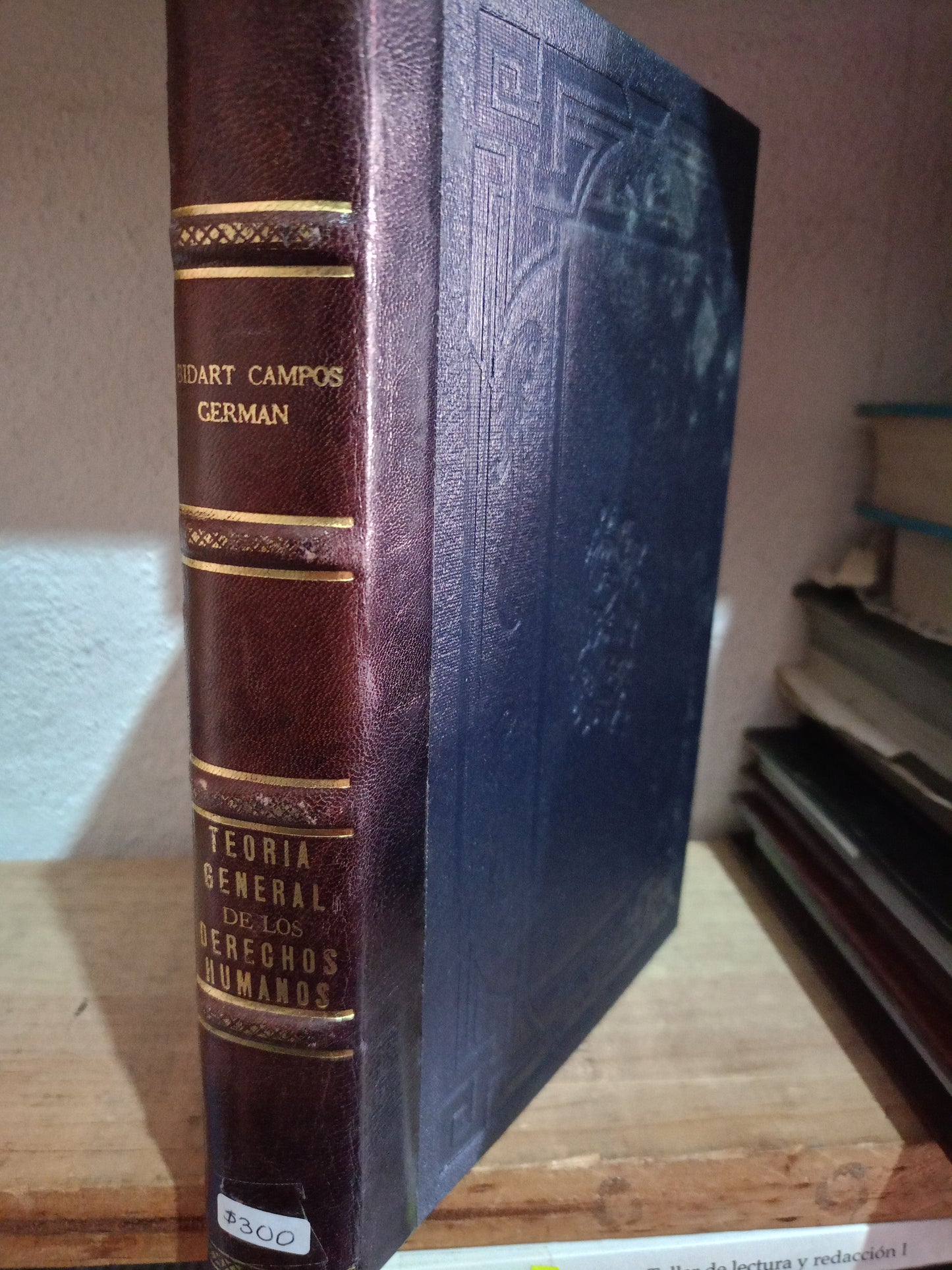 TEORIA GENERAL DE LOS DERECHOS HUMANOS POR BIDART CAMPOS GERMAN USADO DERECHO LITERARIO 305