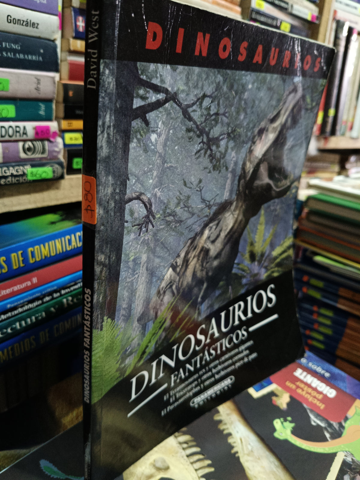 DINOSAURIOS FANTASTICOS USADO INFANTIL LITERARIO 35