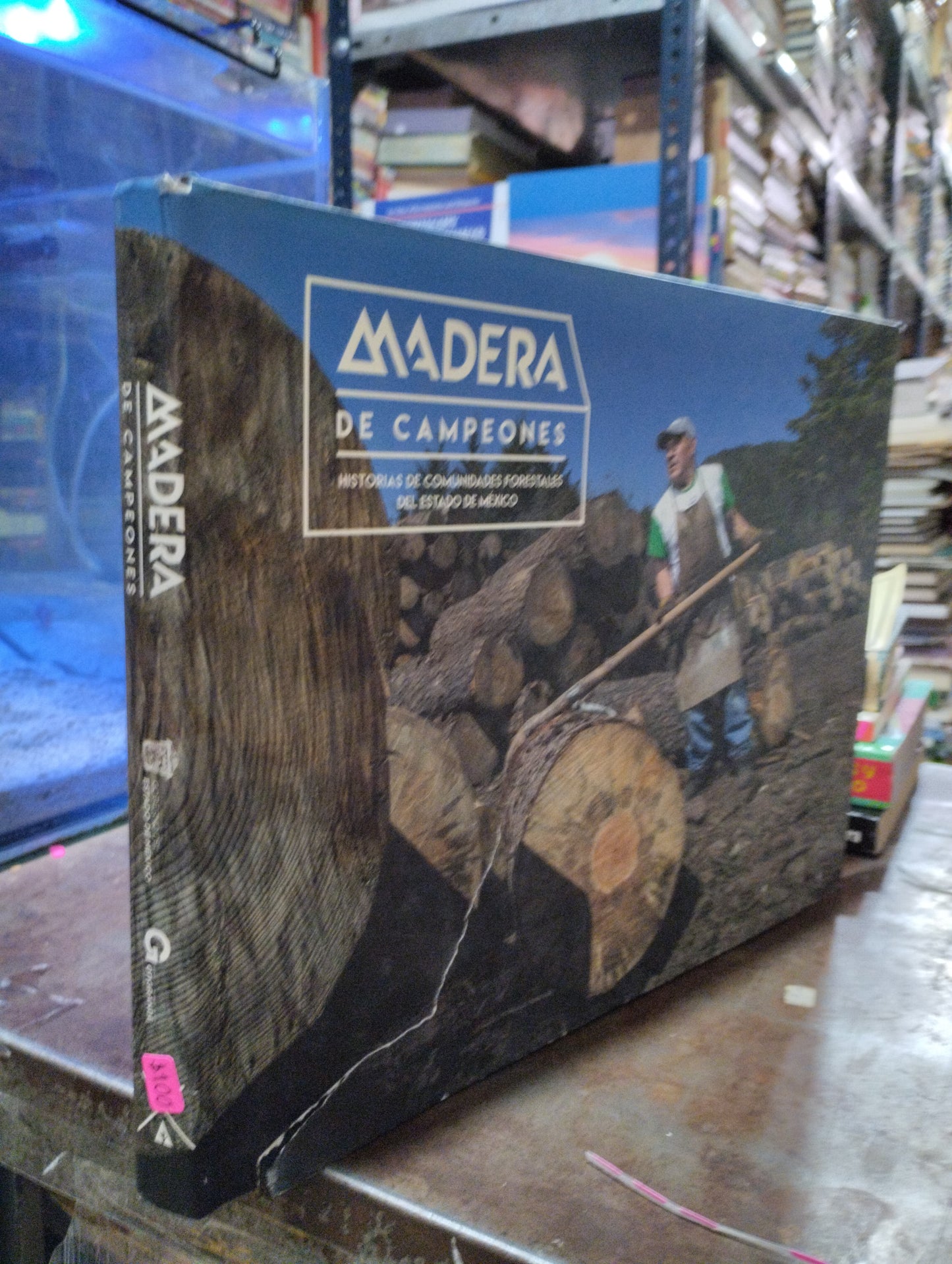 MADERA DE CAMPEONES USADO OFICIOS ALDAMA