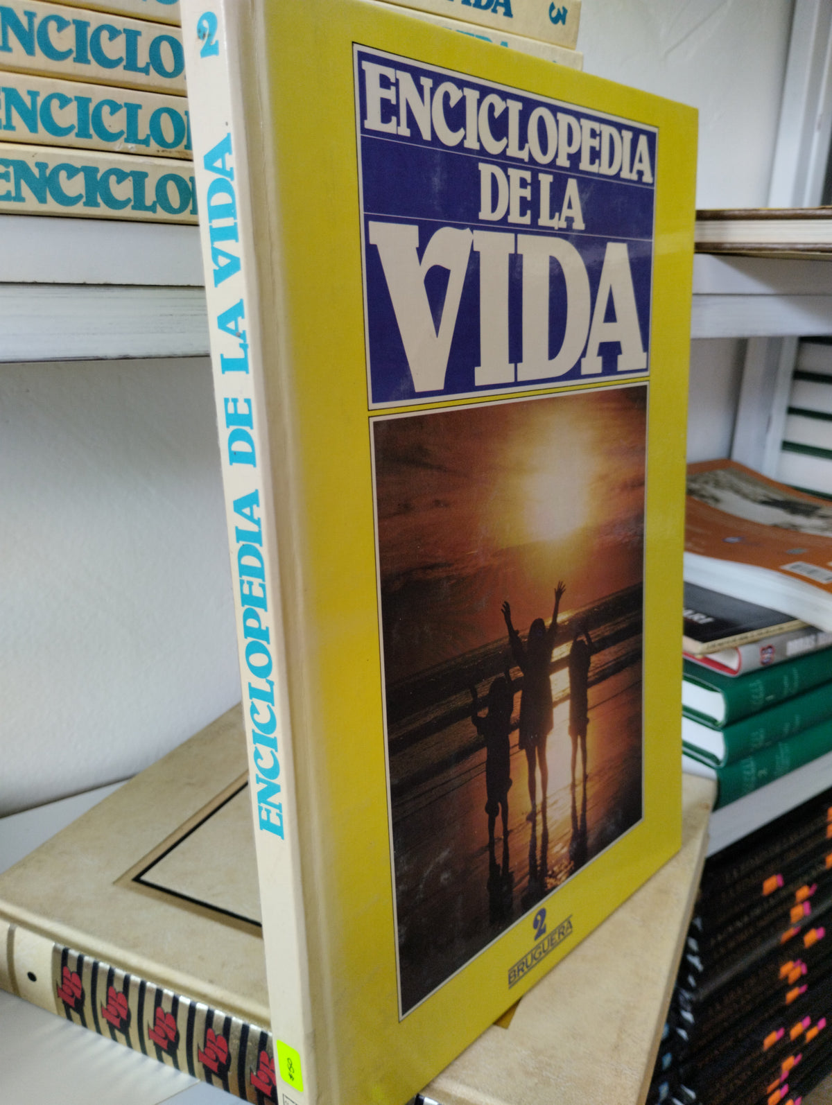 ENCICLOPEDIA DE LA VIDA 2 USADO PSICOLOGIA JUAREZ 515
