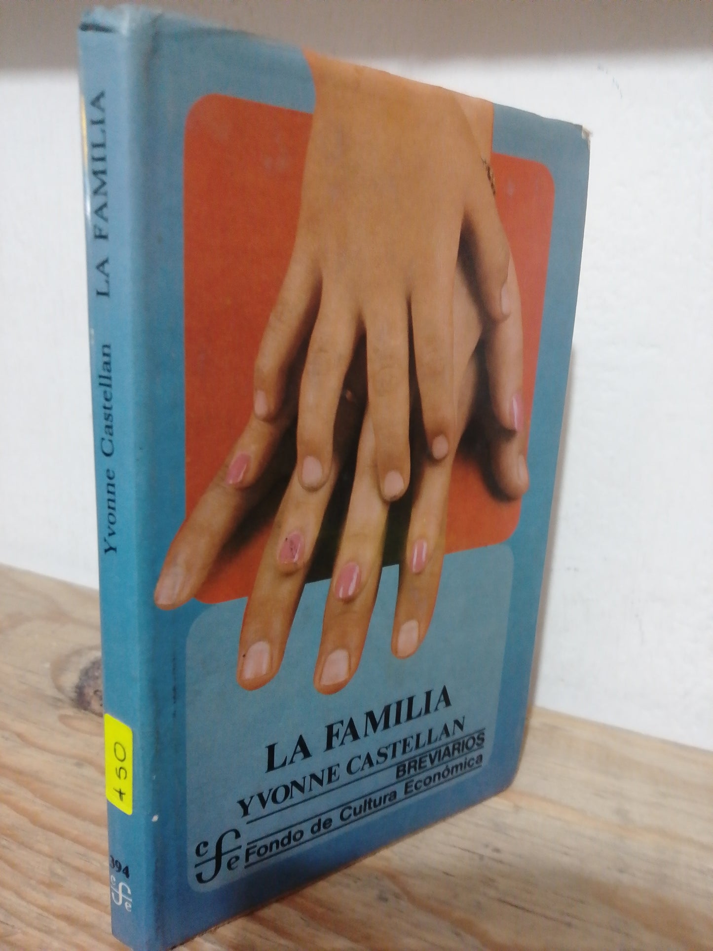 LA FAMILIA POR YVONNE CASTELLAN USADO FILOSOFIA JUAREZ
