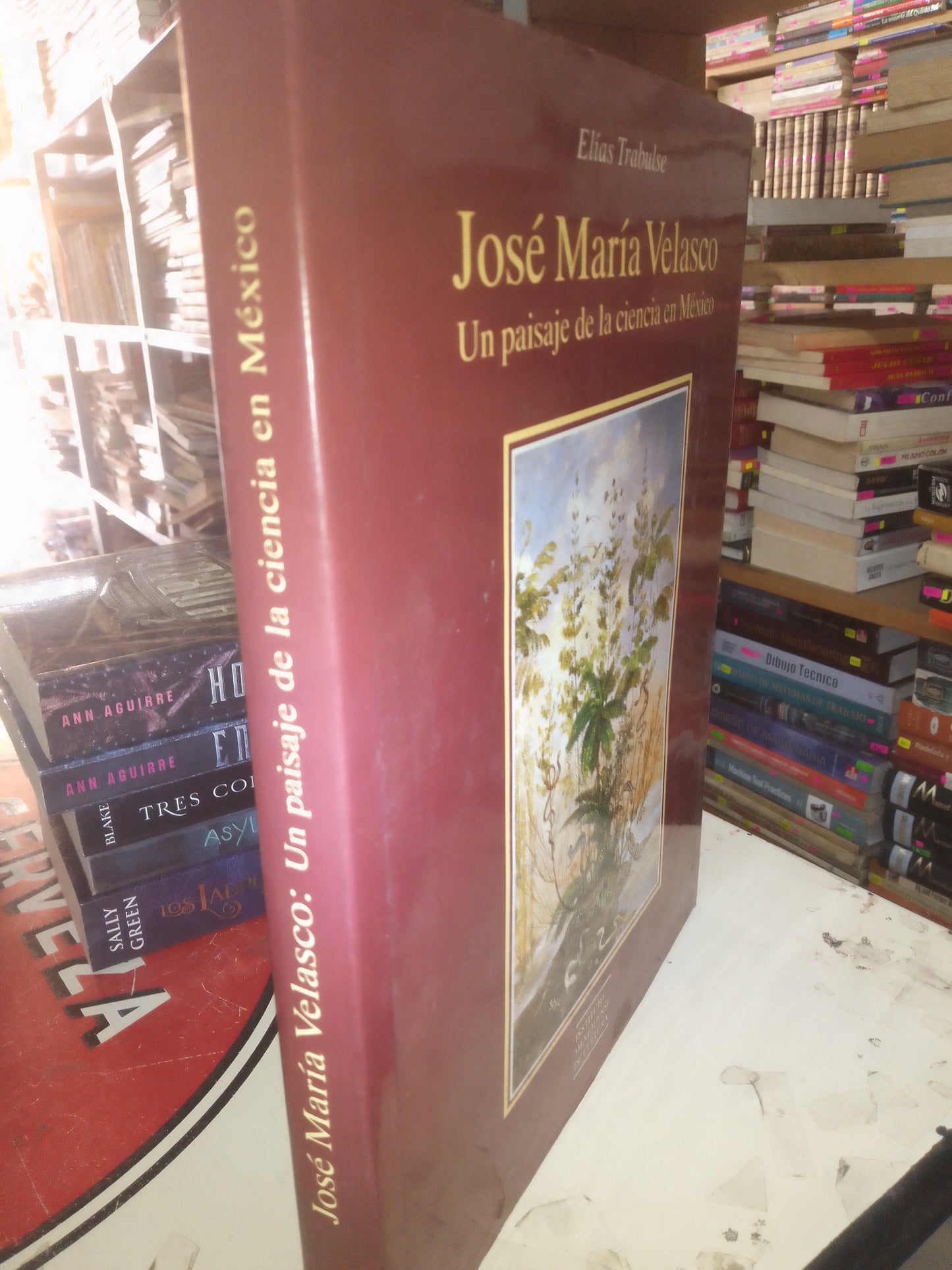 JOSE MARIA VELASCO UN PAISAJE DEL CIENCIA EN MEXICO POR ELIAS TRABULSE USADO BIOLOGIA LITERARIO 207