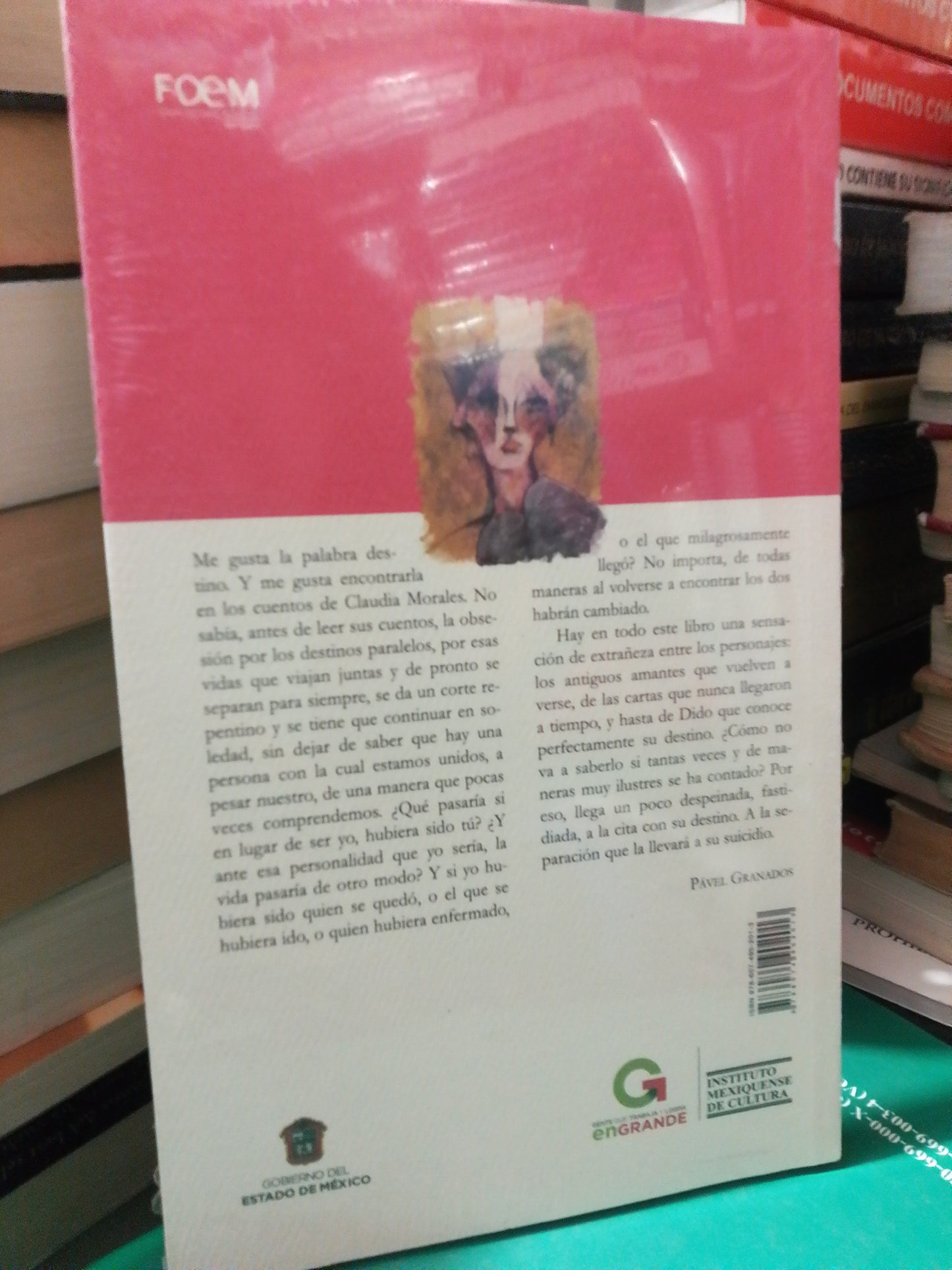 HOSPITALIDAD POR CLAUDIA MORALES USADO NOVELA JUÁREZ