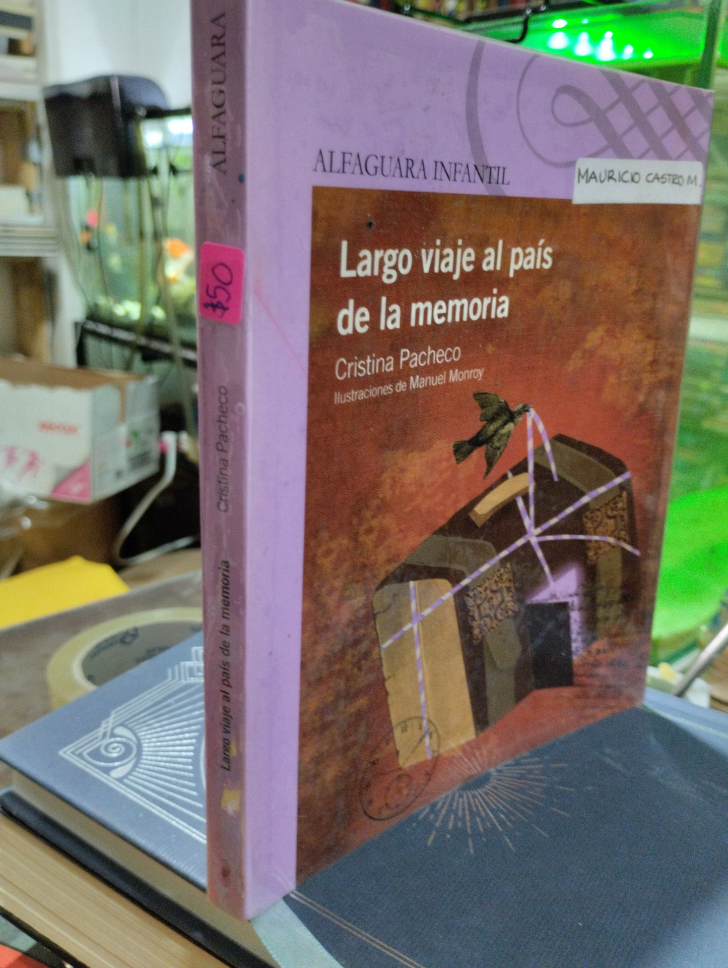 LARGO VIAJE AL PAIS DE LA MEMORIA POR CRISTINA PACHECO USADO INFANTIL ALDAMA
