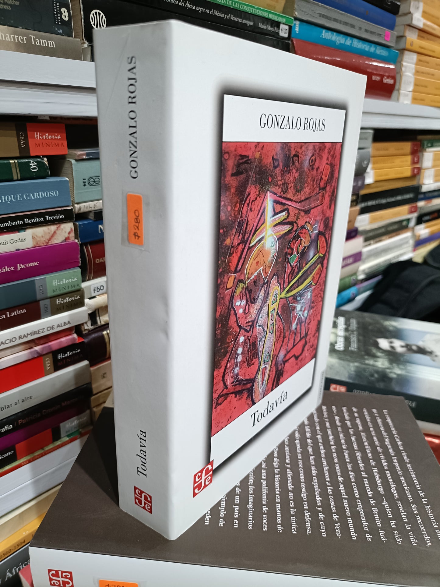 TODAVIA POR GONZALO ROJAS USADOS NOVELAS JUAREZ 515