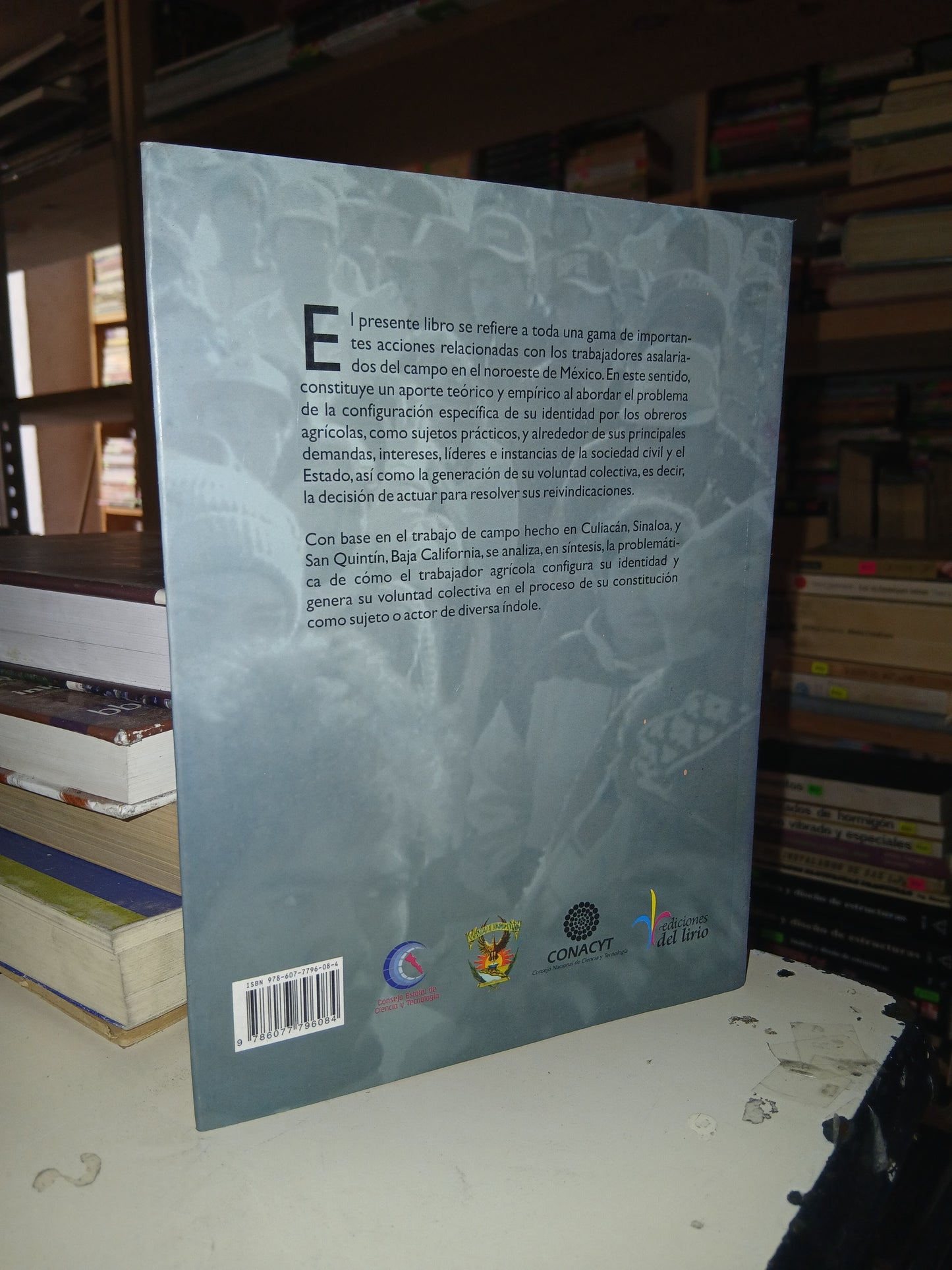 IDENTIDAD Y VOLUNTAD COLECTIVA DE LOS TRABAJADORES AGRÍCOLAS POR FLORENCIO POSADAS SEGURA USADO AGRARIA LITERARIO 207