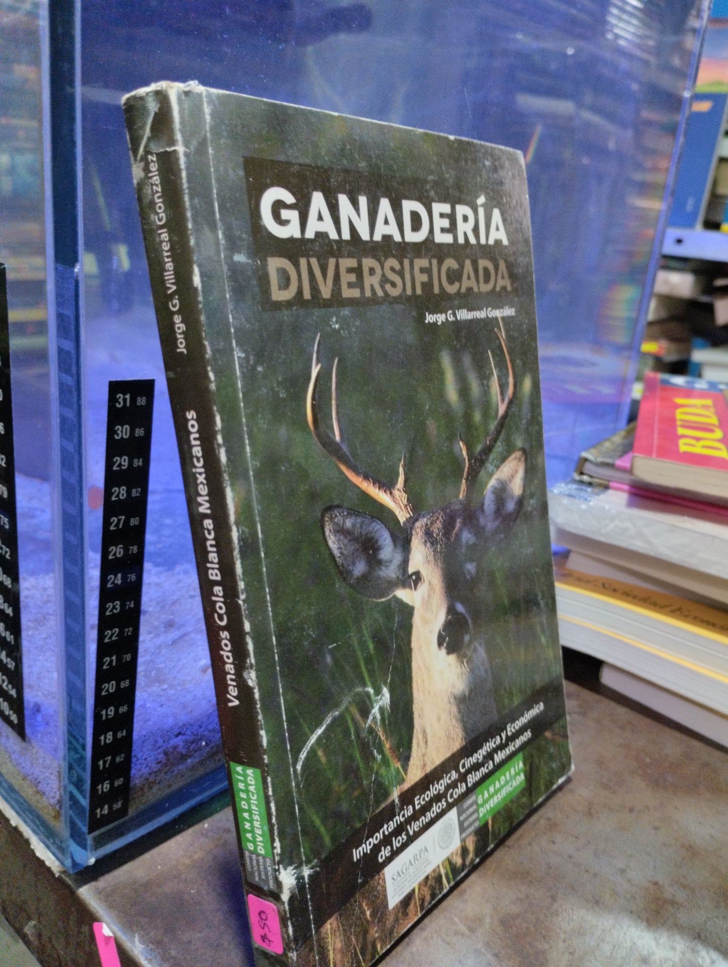 GANADERIA DIVERSIFICADA POR JORGE G VILLARREAL GONZALEZ USADO AGRICULTURA ALDAMA