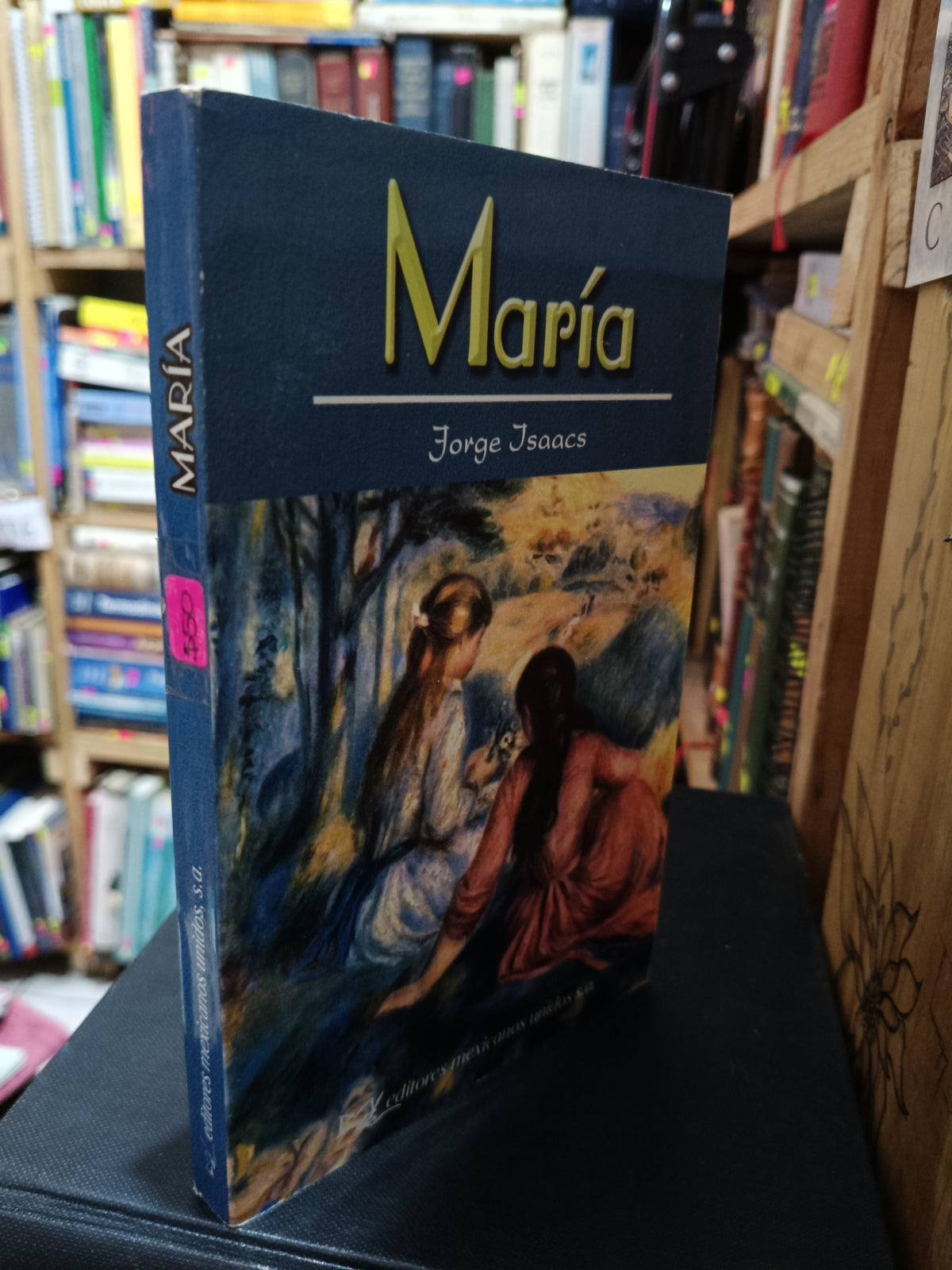 MARIA JORGE ISAACS USADO NOVELA LITERARIO 305