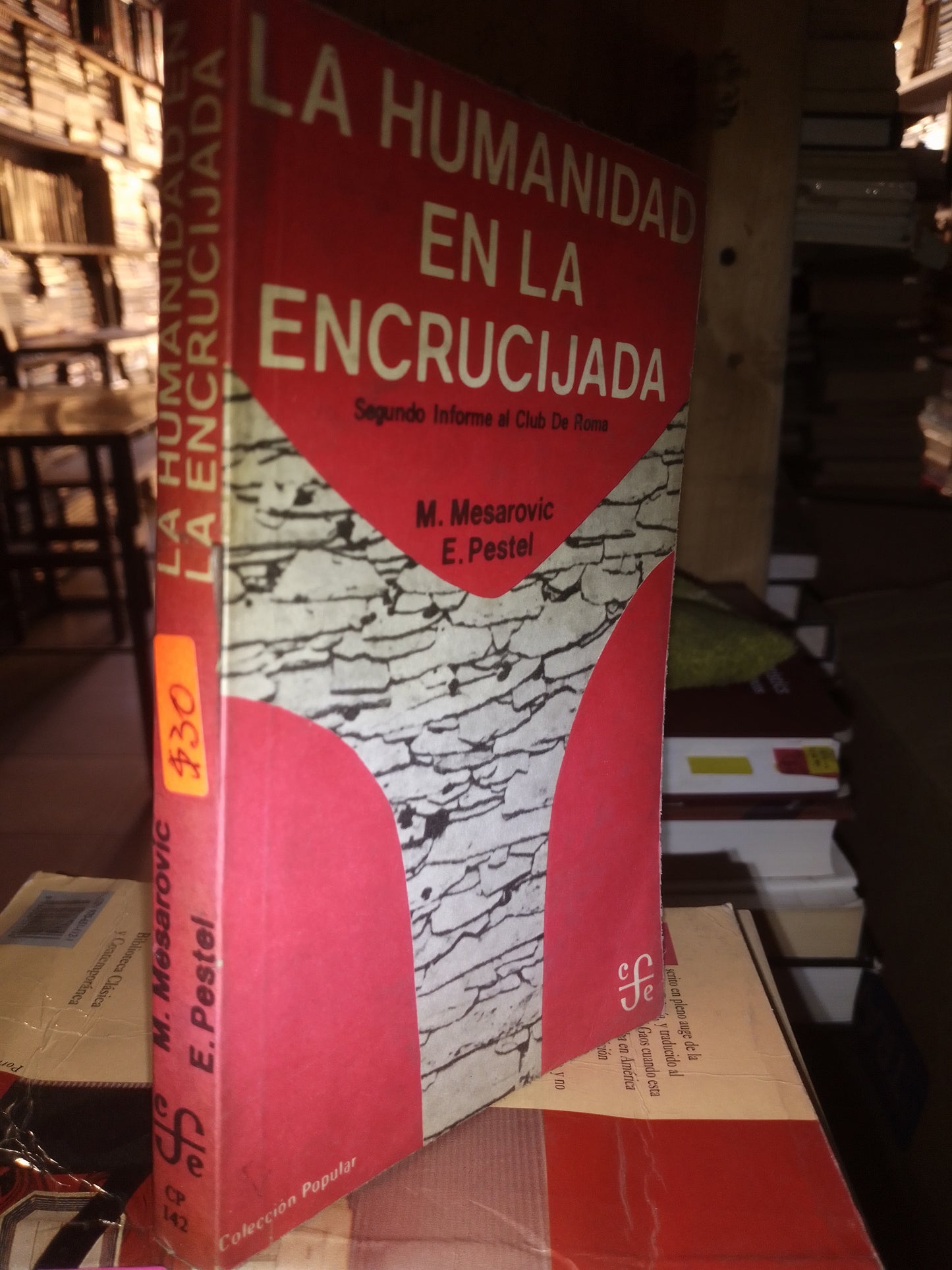 LA HUMANIDAD EN LA ENCRUCIJADA POR E PESTEL USADO SOCIOLOGÍA LITERARIO 207