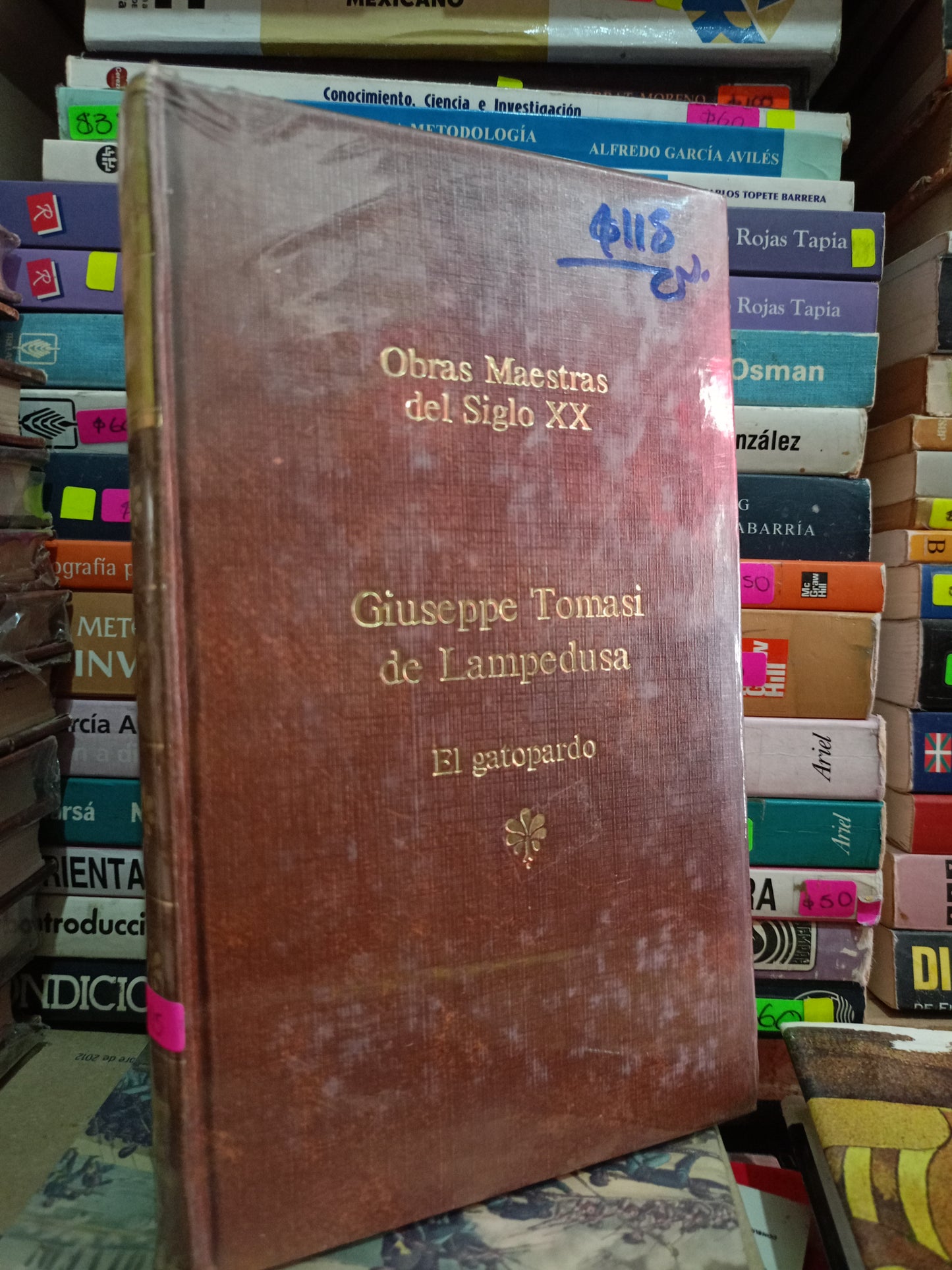 EL GAROPARDO POR GIUSEPPE TOMASI DE LAMPEDUSA NUEVO LITERARIO 305