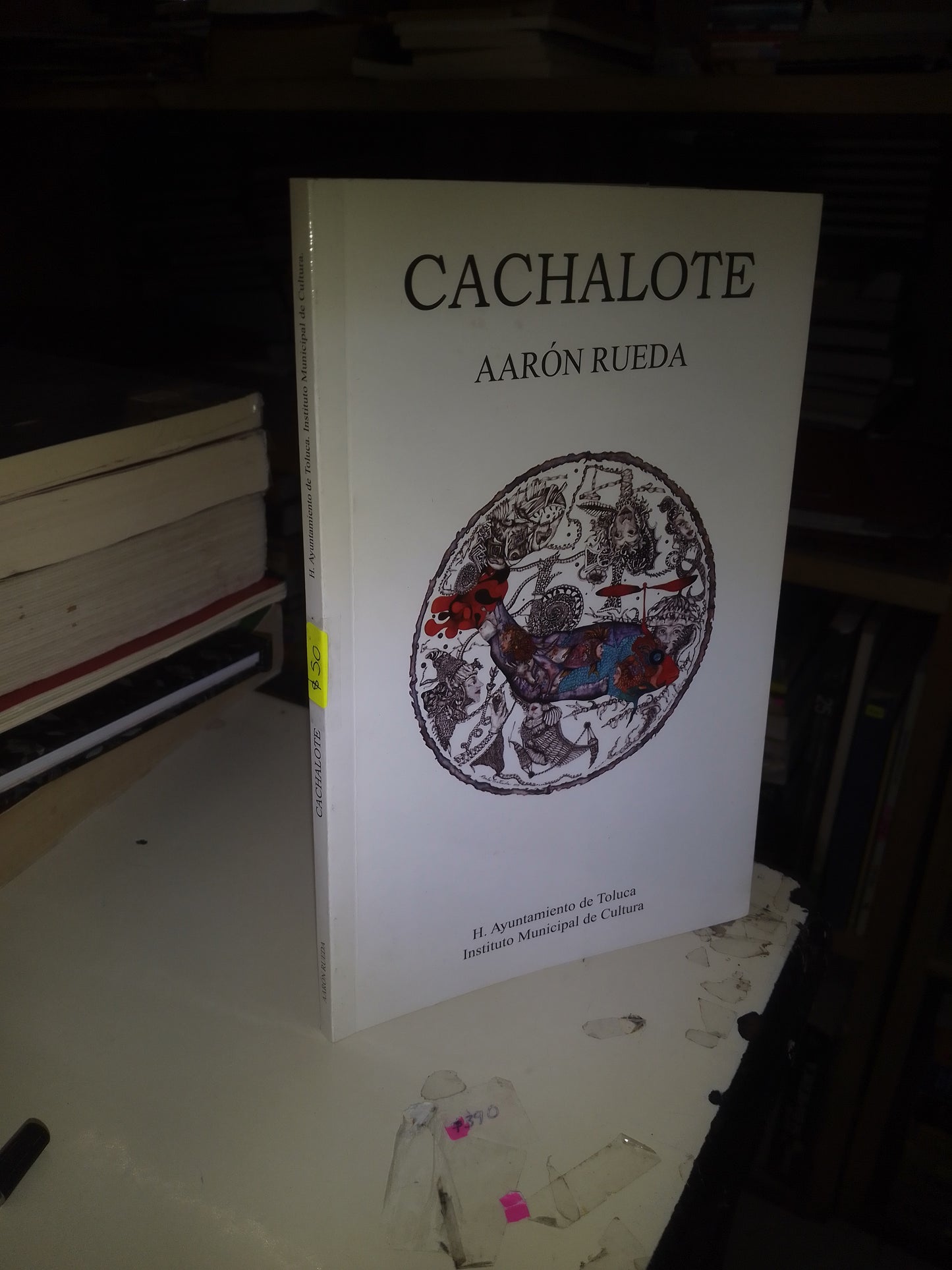 CACHALOTE POR AARON RUEDA USADO POESÍA LITERARIO 207