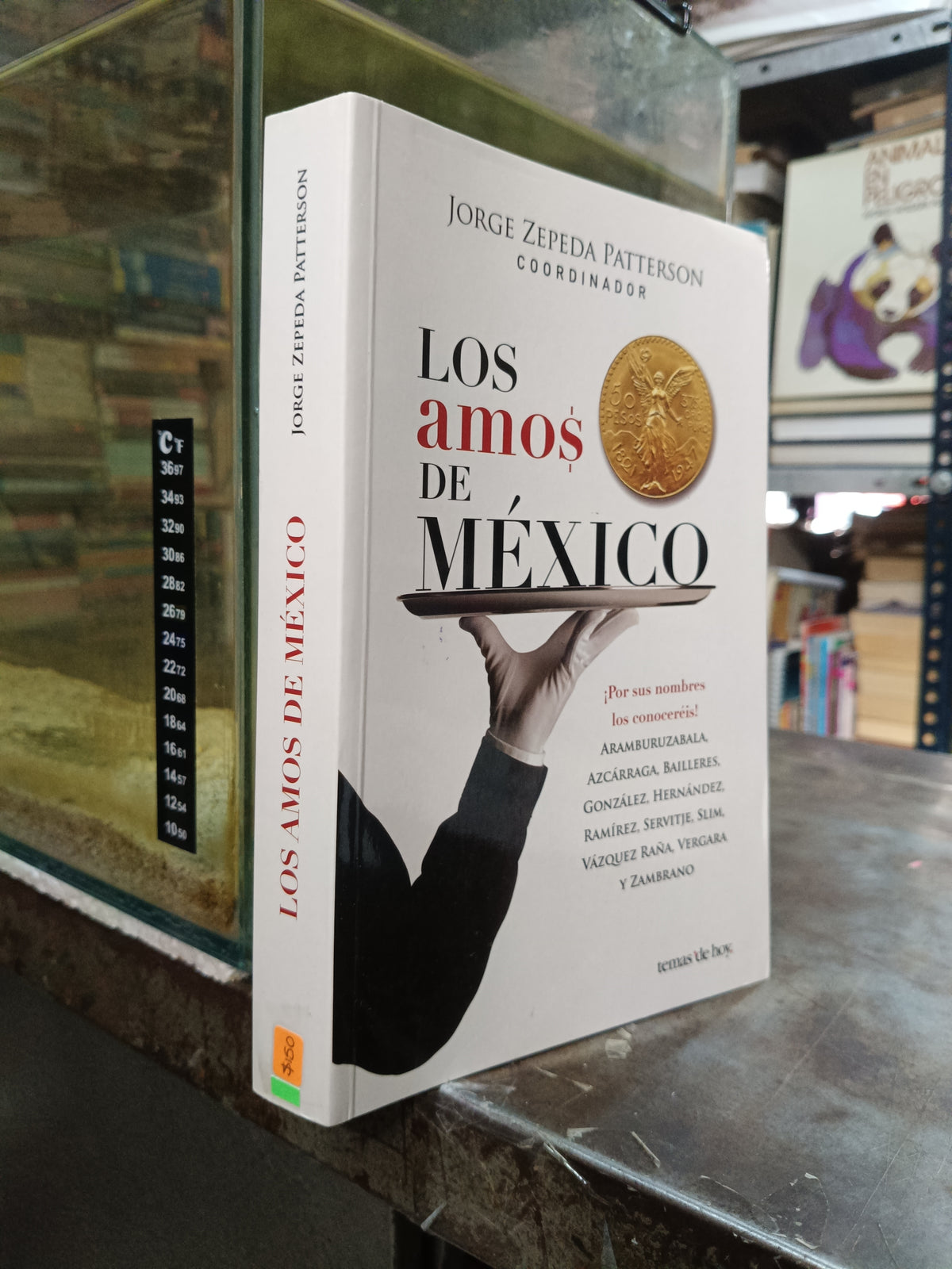 LOS AMOS DE MEXICO POR JORGE ZEPEDA PATTERSON USADO POLITICA ALDAMA