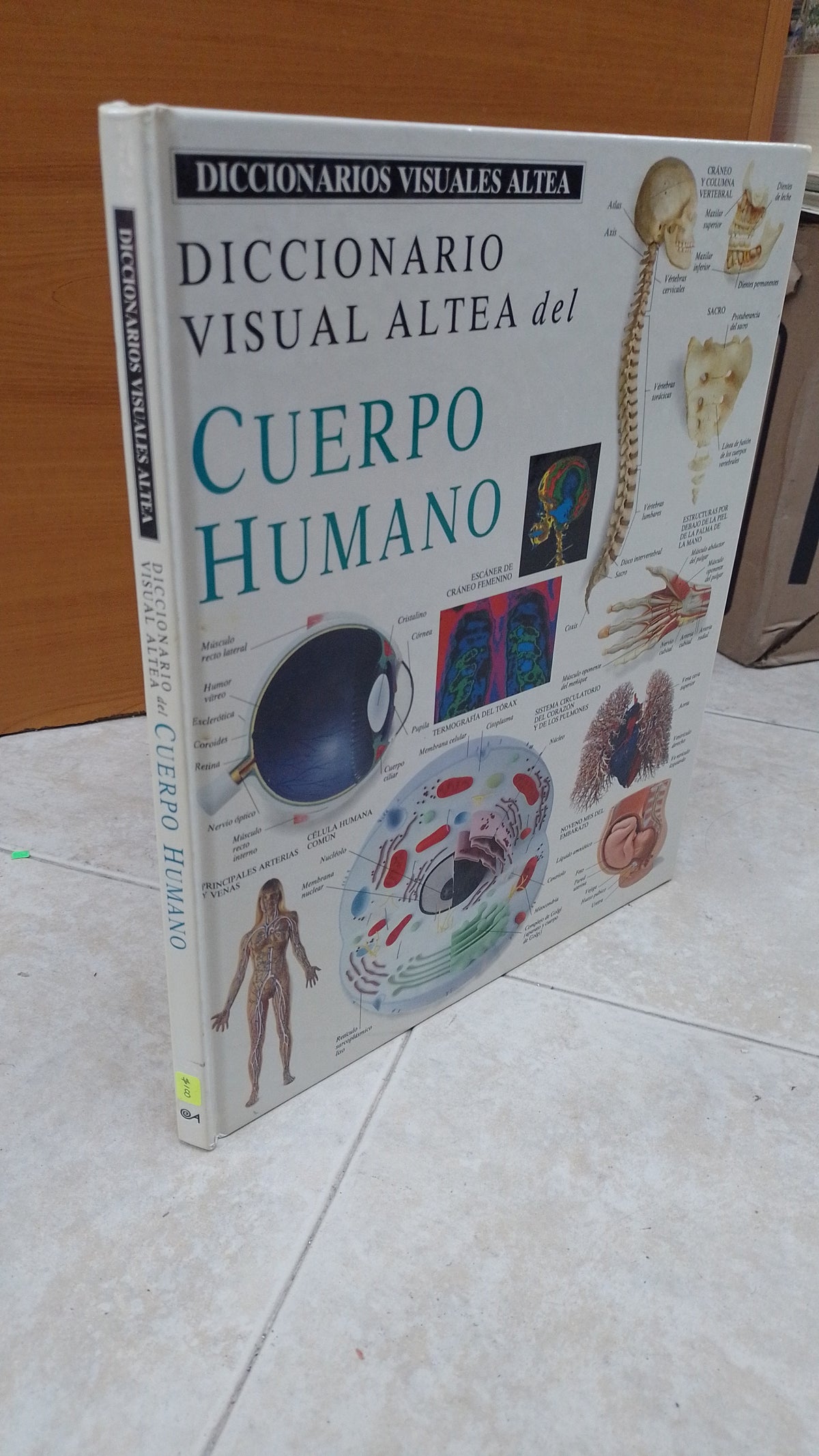 DICCIONARIO VISUAL ALTEA DEL CUERPO HUMANO POR ALTEA USADO SALUD JUAREZ 515
