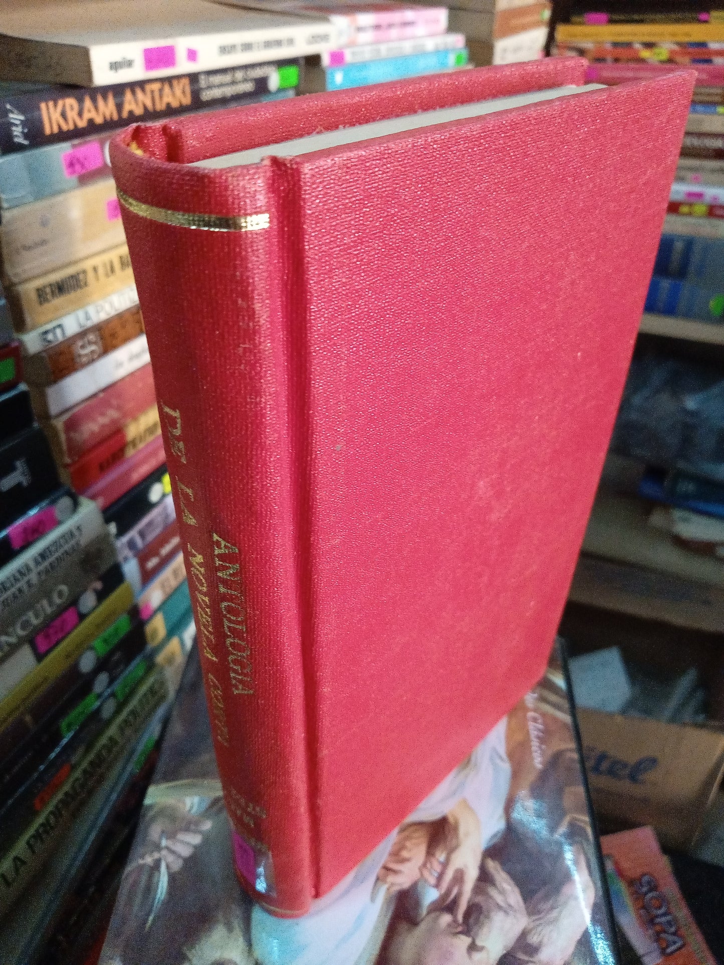 ANTOLOGIA DE LA NOVELA CORTA NORTEAMERICA POR WALLACE MARY STEGNER USADO NOVELA LITERARIO 207