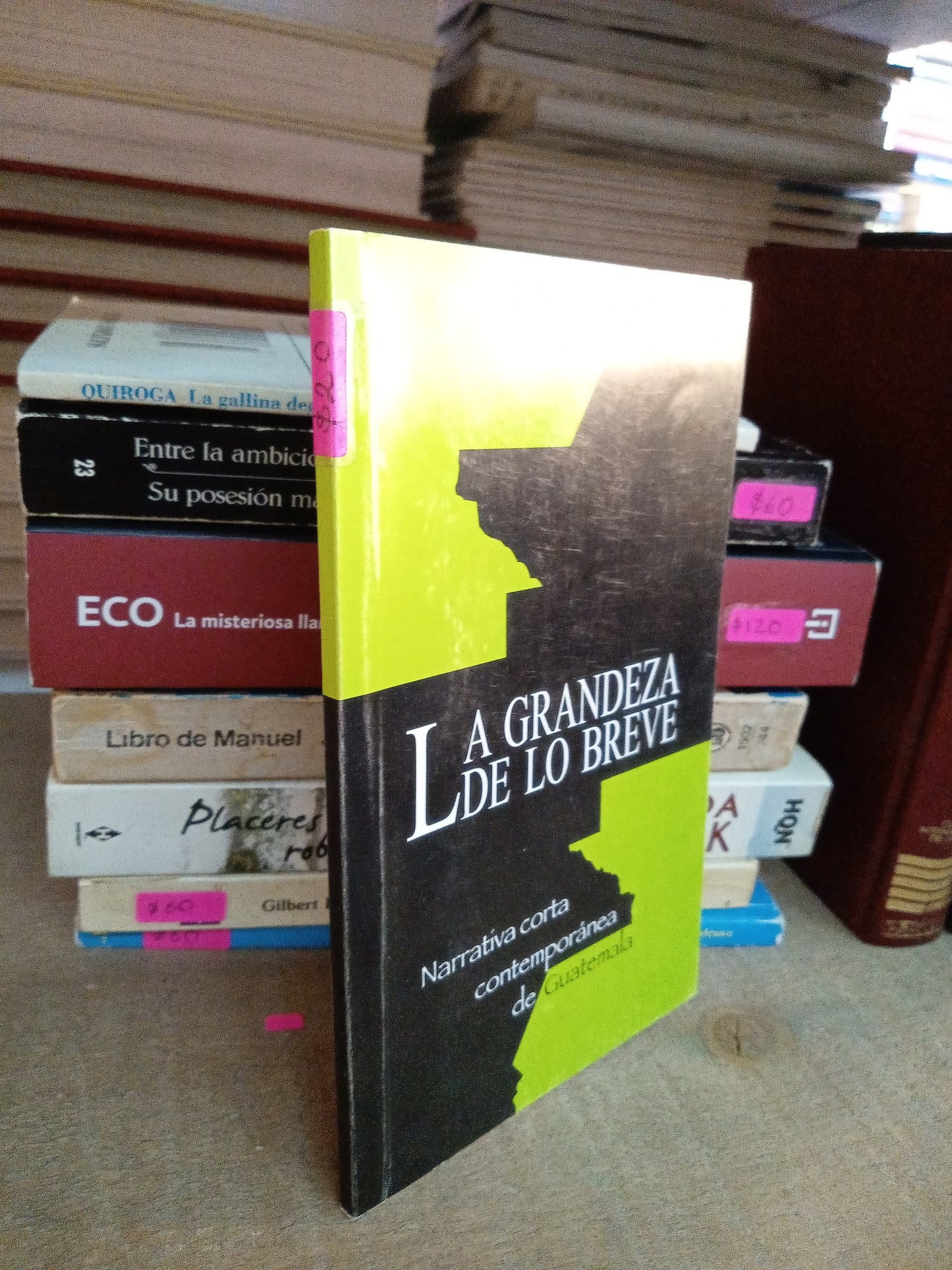 LA GRANDEZA DE LO BREVE NARRATIVA CORTA CONTEMPORANEA DE GUATEMALA USADO NOVELA LITERARIO 207