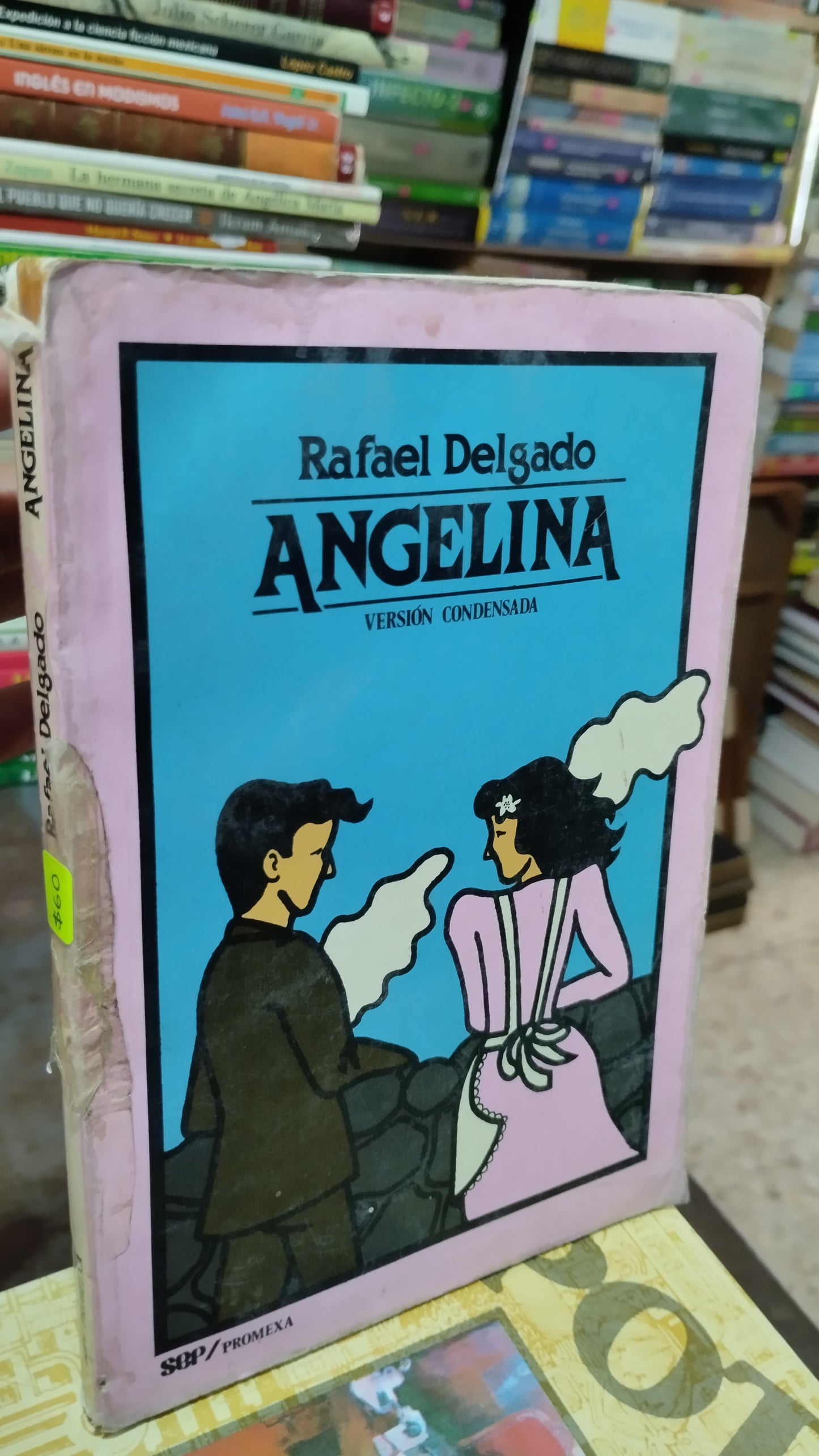 ANGELINA POR RAFAEL DELGADO LIBRO USADO NOVELAS ALDAMA