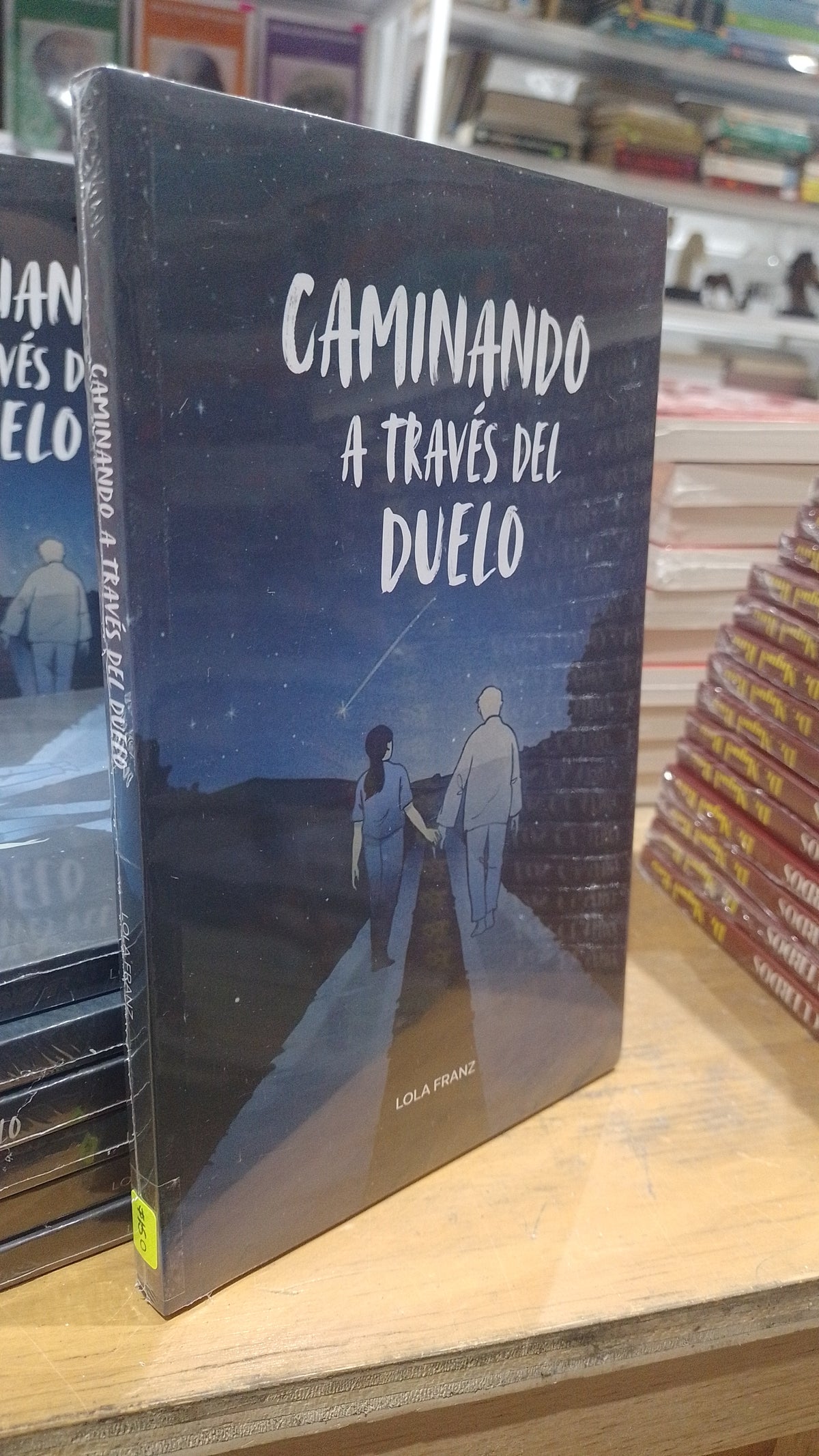 CAMINANDO A TRAVES DEL DUELO POR LOLA FRANZ NUEVO JUAREZ 515