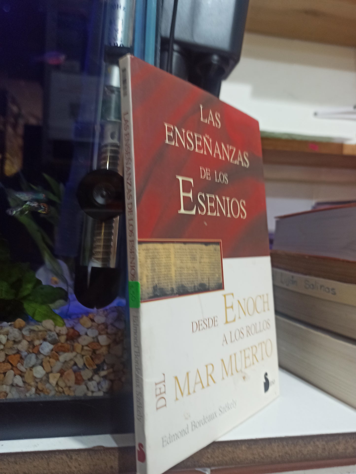 LAS ENSEÑANZAS DE LOS ESENIOS POR EDMOND BORDEAUX USADO RELIGION JUÁREZ