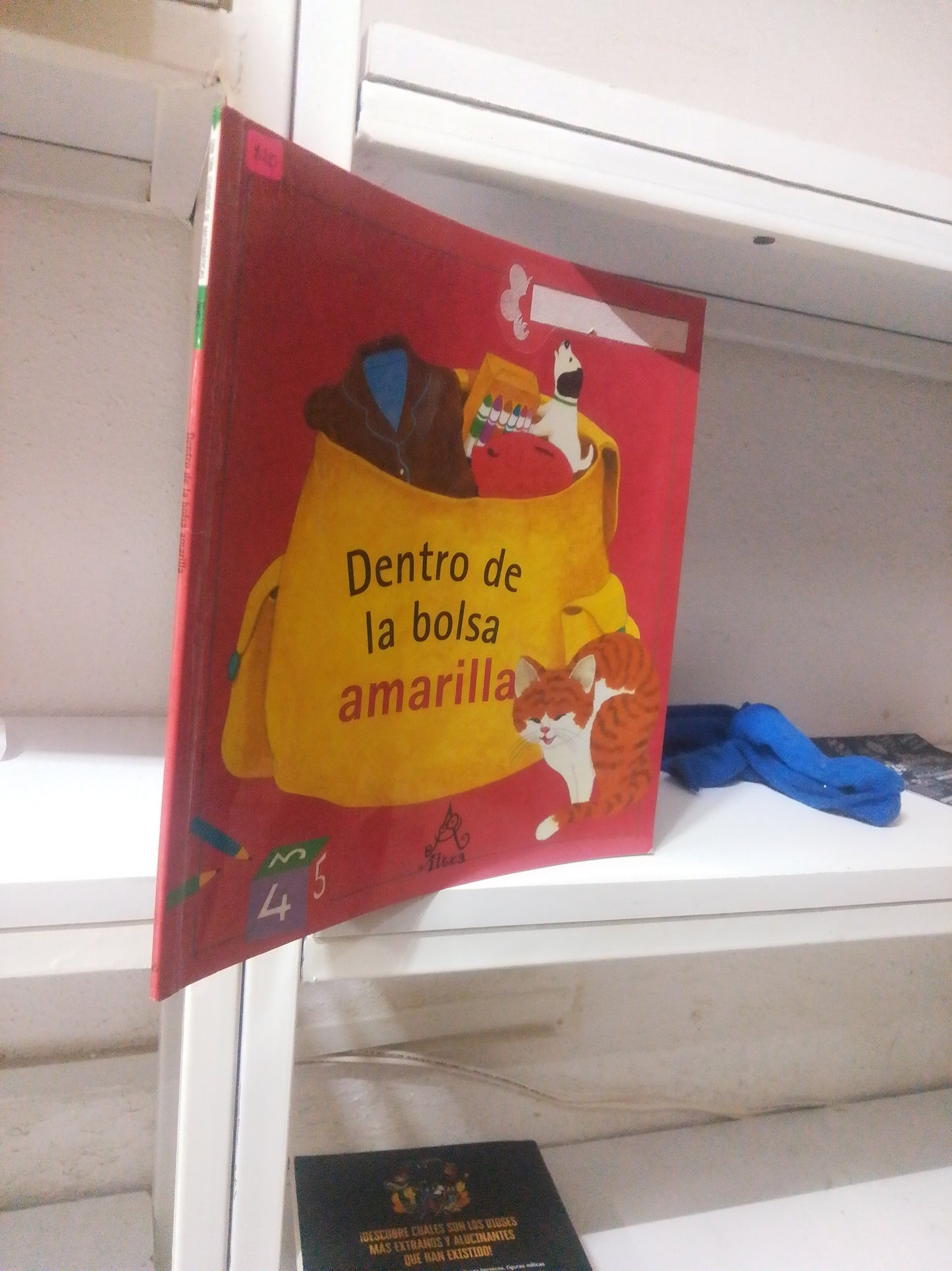 DENTRO DE LA BOLSA AMARILLA POR YU YEONG-SO USADO INFANTIL JUAREZ 515