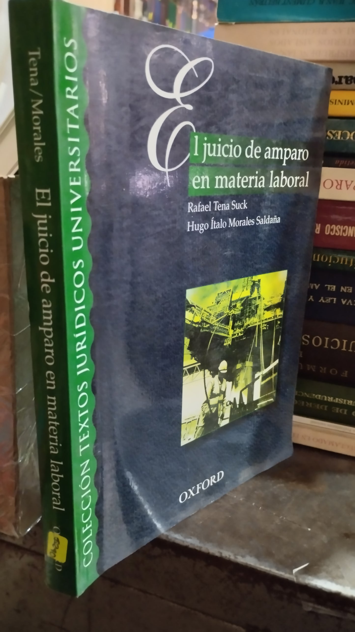 EL JUICIO DE AMPARO EN MATERIA LABORAL POR RAFAEL TENA SUCK LIBRO USADO DERECHO ALDAMA