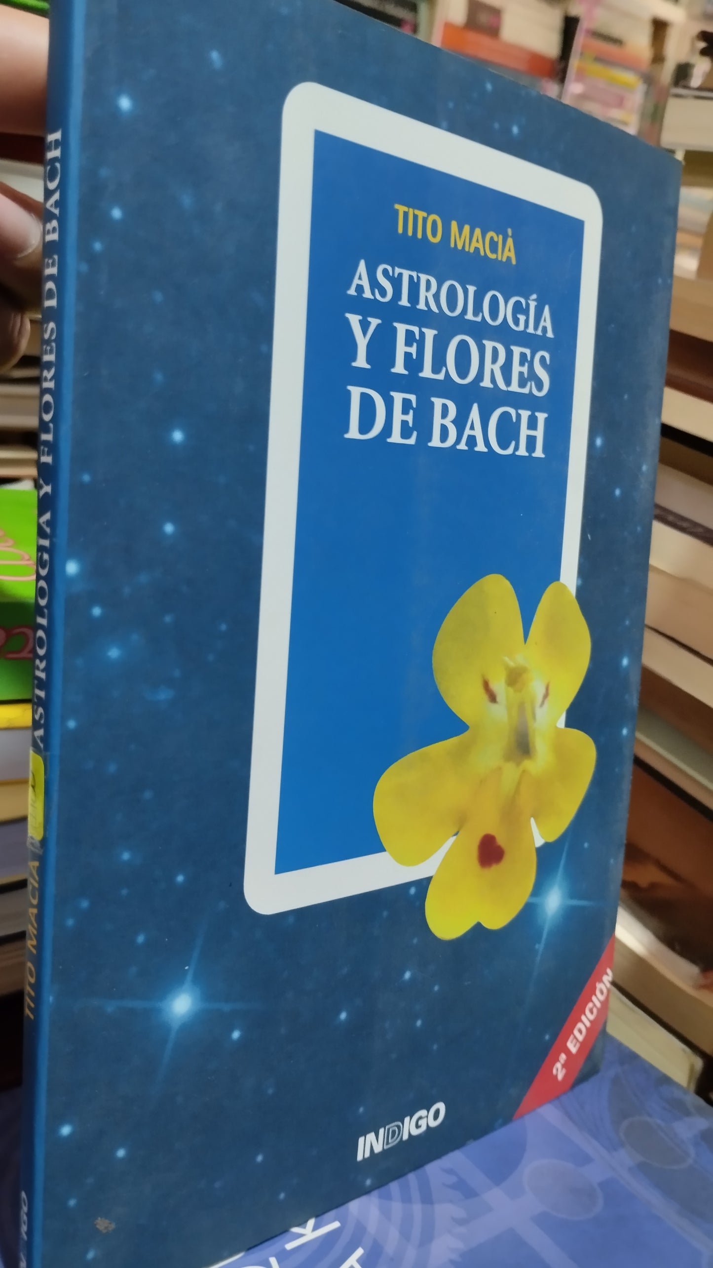 ASTROLOGIA Y FLORES DE BACH POR TITO MACIA LIBRO USADO ESOTERISMO ALDAMA