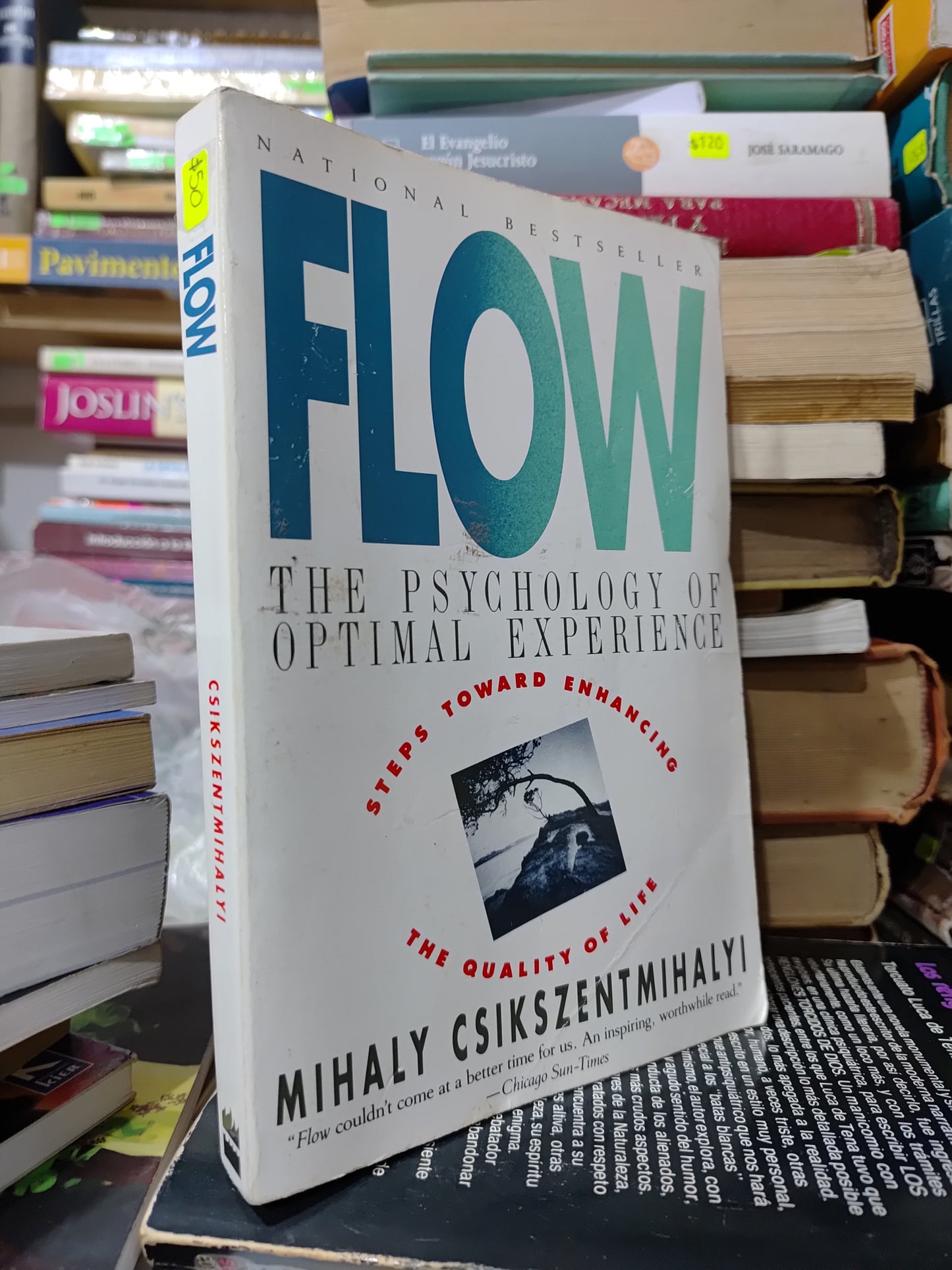 FLOW POR MIHALY CSIKSZENTMIHALYI USADO PSICOLOGIA JUAREZ 507