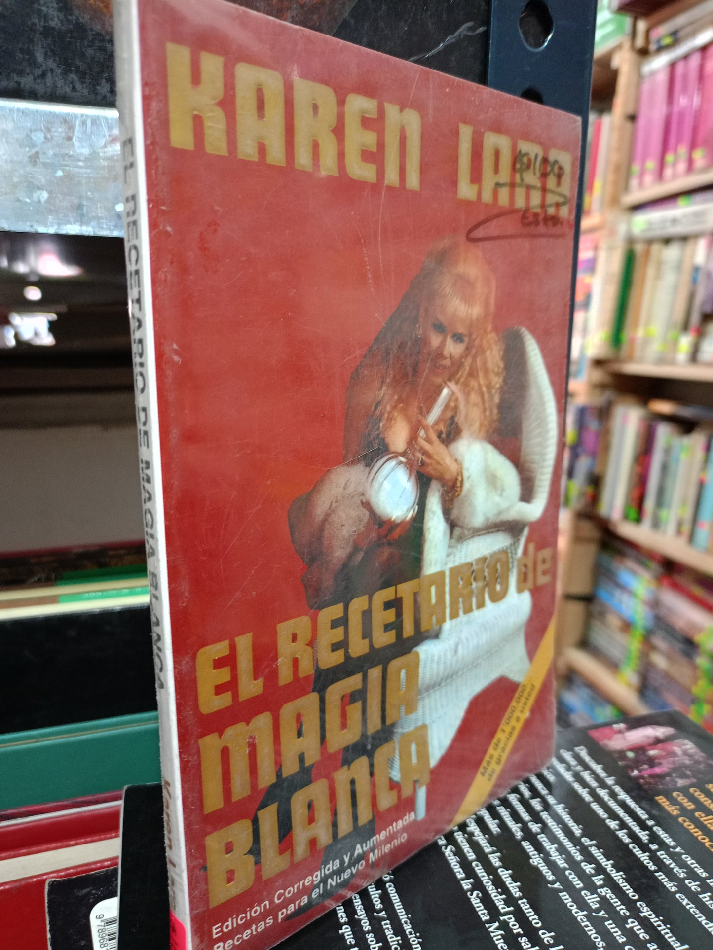 EL RECETARIO DE MAGIA BLANCA POR KAREN LARA NUEVO ESOTERISMO LITERARIO 305