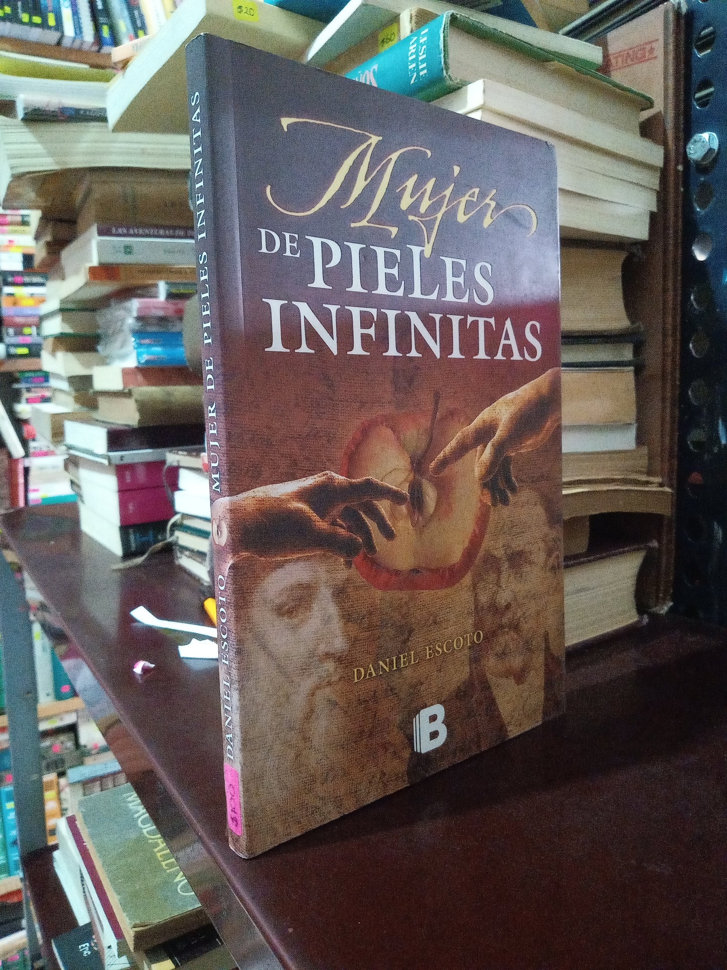 MUJERES DE PIELES INFINITAS DANIEL ESCOTO USADO NOVELA LITERARIO 305