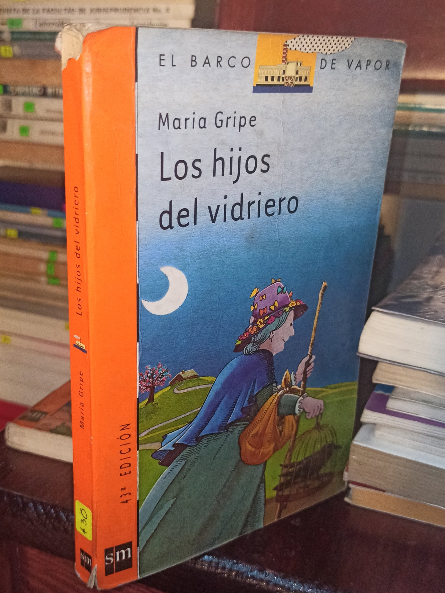 LOS HIJOS DEL VIDRIERO POR MARIA GRIPE USADO INFANTILES LITERARIO 207