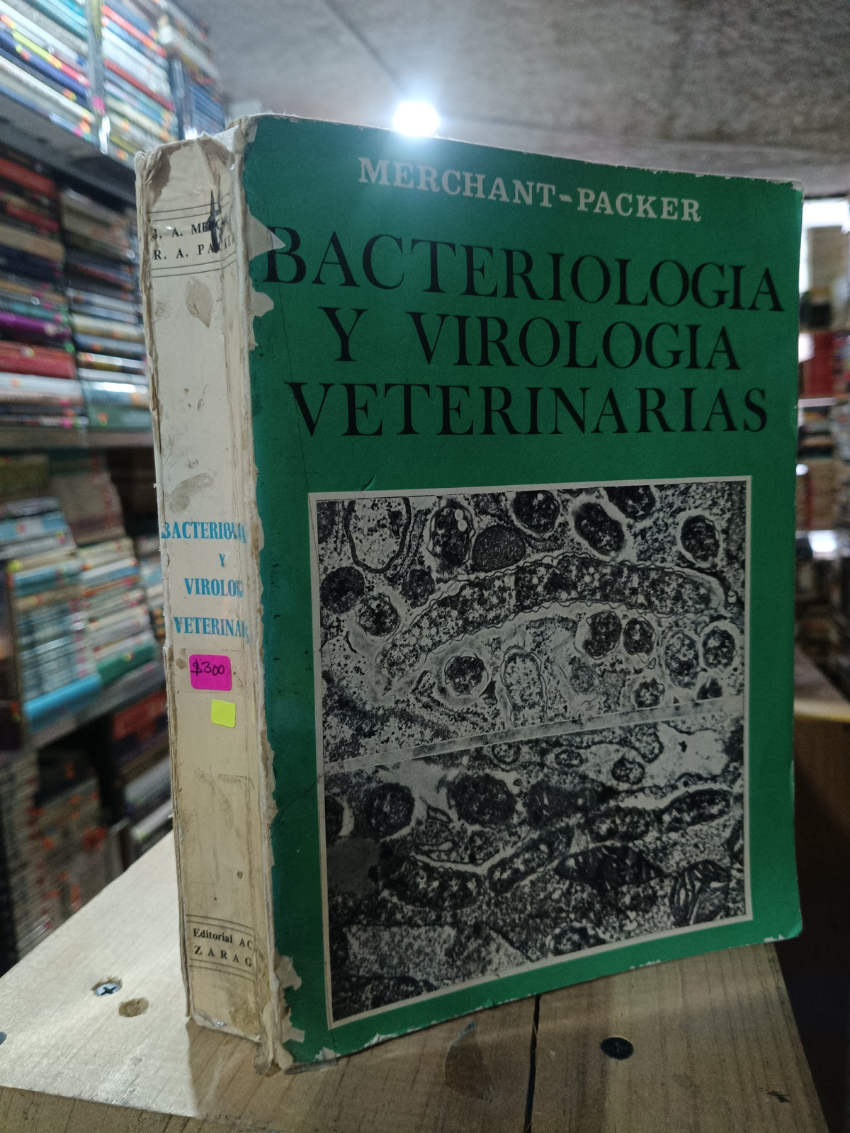 BACTERIOLOGIA Y VIROLOGIA VETERINARIAS POR MERCHANT PACKER USADO BIOLOGIA ALDAMA