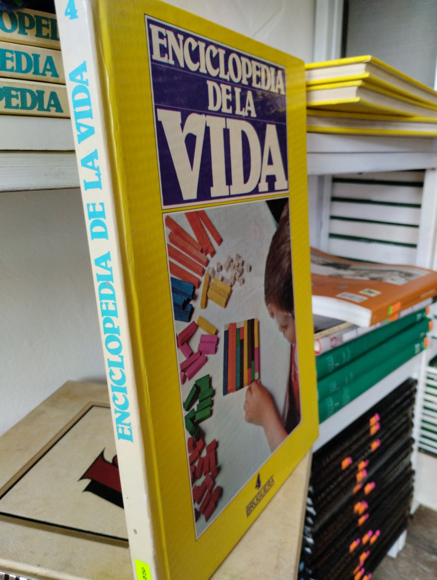 ENCICLOPEDIA DE LA VIDA 4 USADO PSICOLOGIA JUAREZ 515