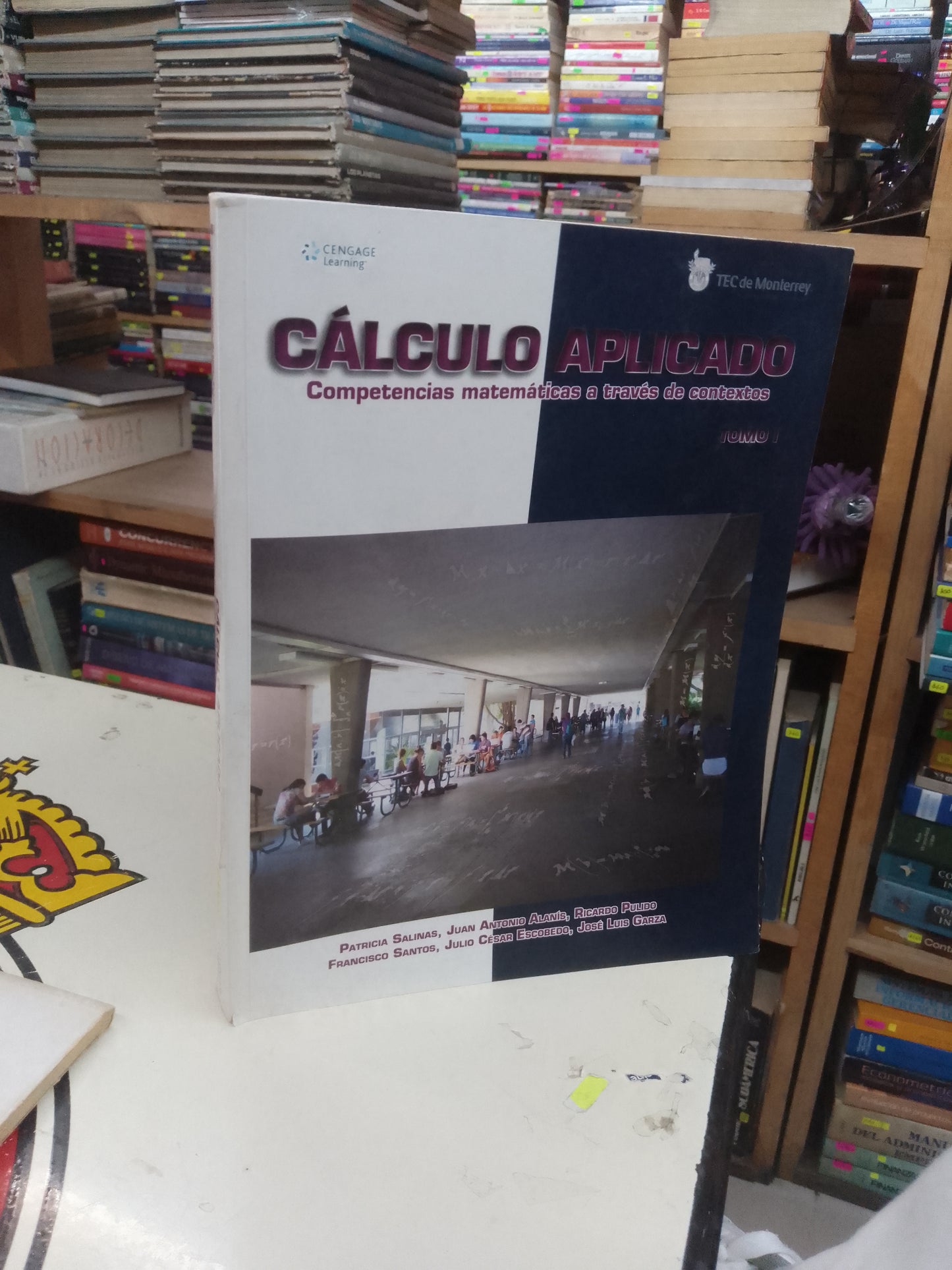 CALCULO APLICADO COMPETENCIAS MATEMÁTICAS A TRAVÉS DE CONTEXTOS TOMO I (VARIOS AUTORES) USADO MATEMÁTICAS LITERARIO 207