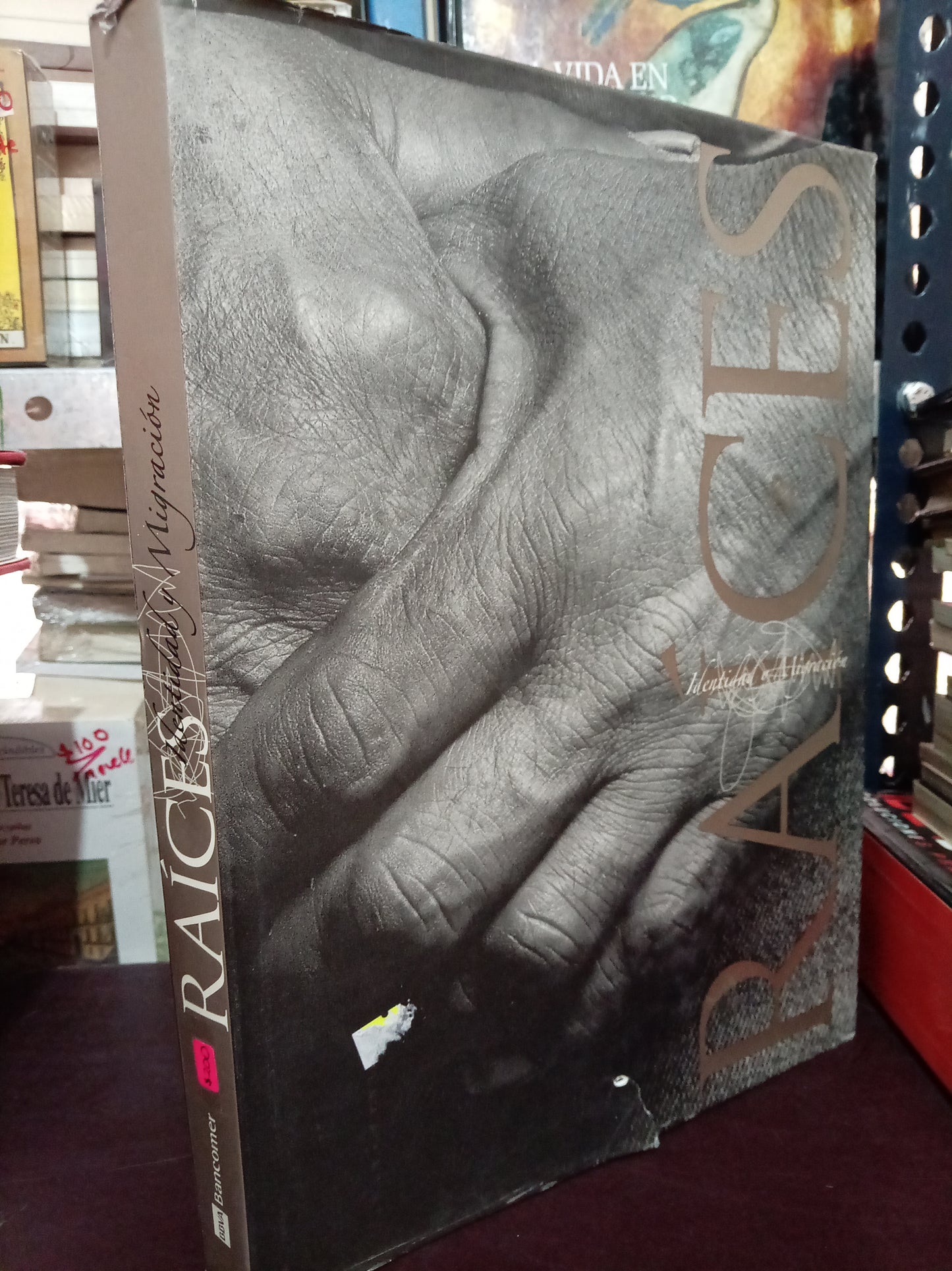 RAICES IDENTIDAD Y MIGRACION USADO ARTE LITERARIO 305