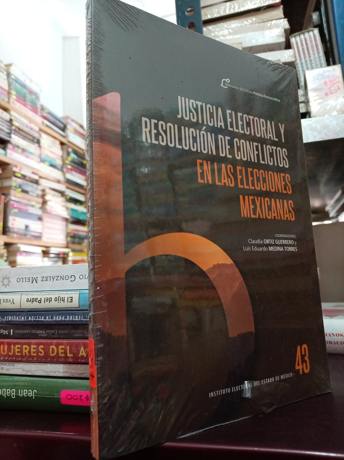 JUSTICIA ELECTORAL Y RESOLUCIÓN DE CONFLICTOS EN EN LAS ELECCIONES MEXICANAS POR CLAUDIA ORTIZ GUERRERO Y LUIS EDUARDO MEDINA TORRES NUEVO LITERARIO 305