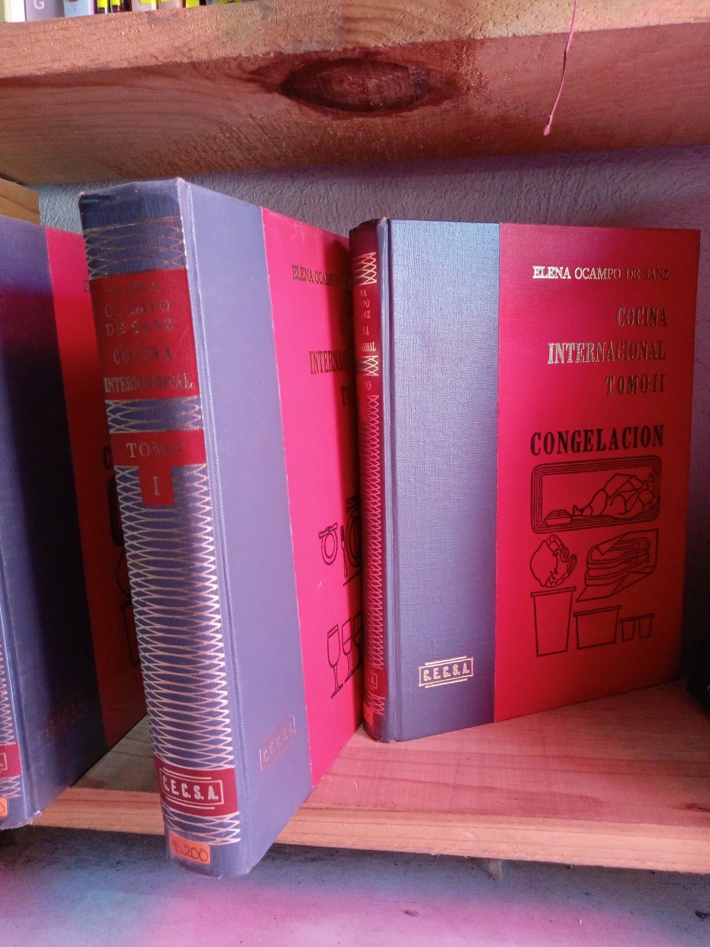 COCINA INTERNACIONAL ELENA OCAMPO DE SANZ 2TOMOS USADO COCINA LITERARIO #305