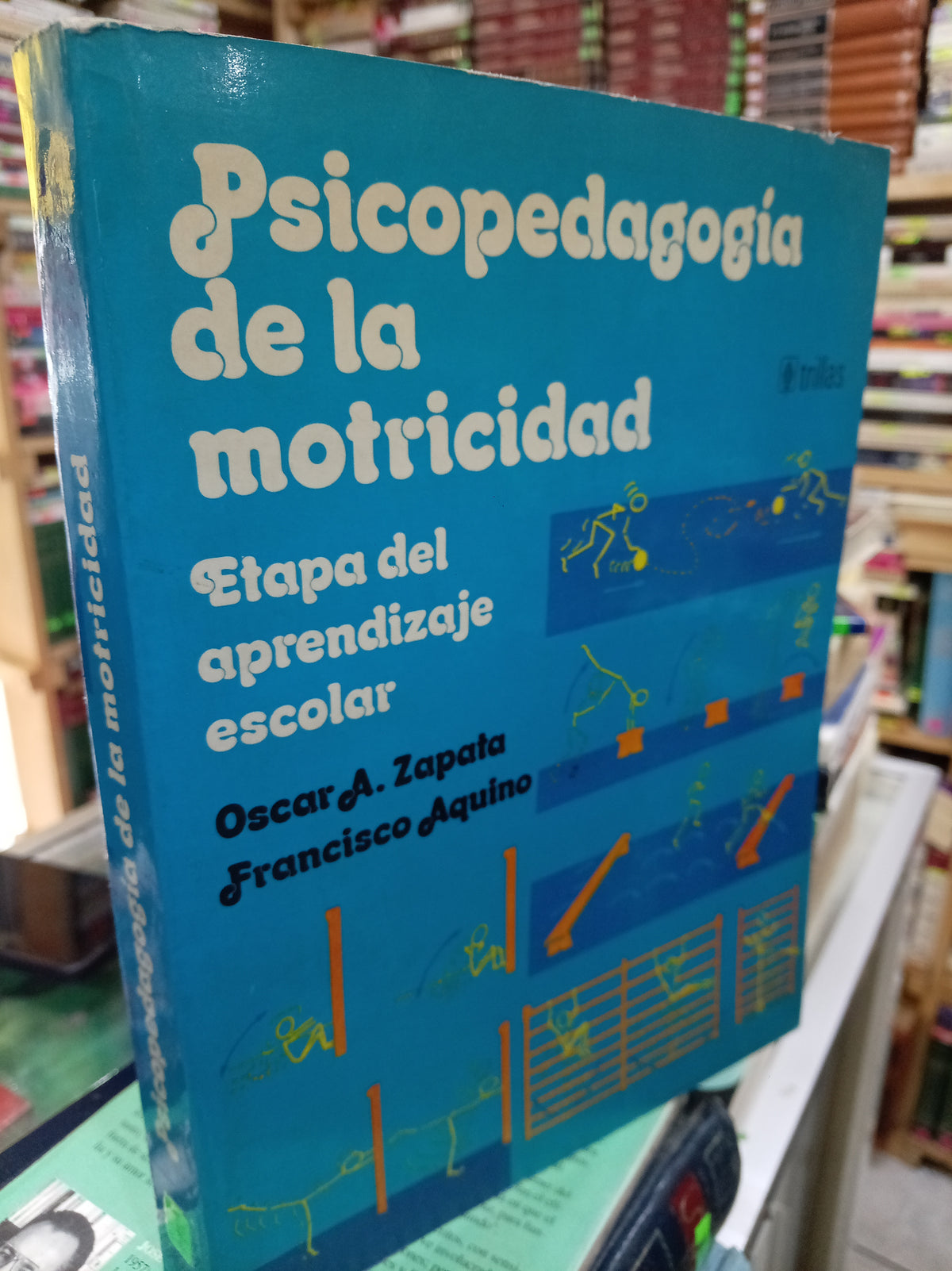 PSICOPEDAGOGIA DE LA MOTRICIDAD POR OSCAR A. ZAPATA, FRANCISCO AQUINO USADO PSICO JUAREZ 507