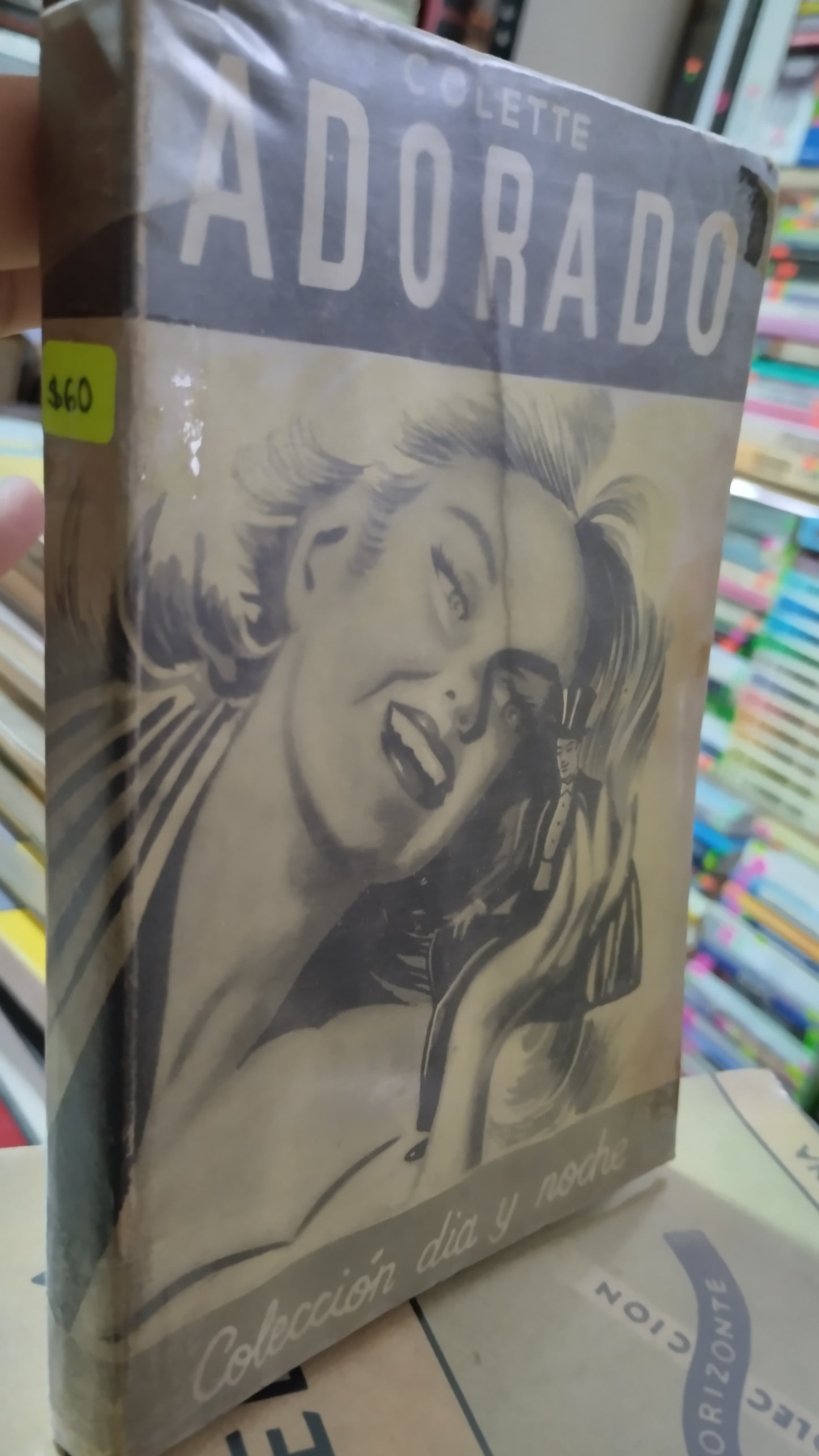 ADORADO POR COLETTE LIBRO USADO NOVELAS ALDAMA