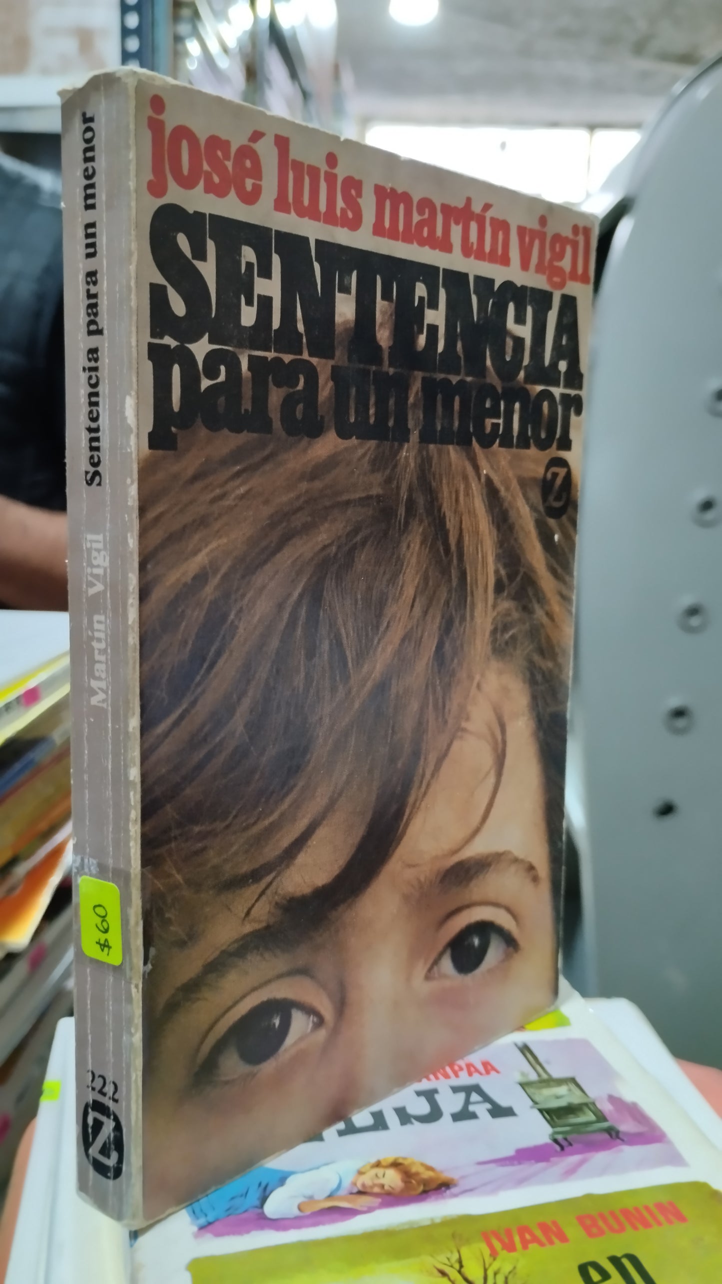 SENTENCIA PARA UN MENOR POR JOSE LUIS MARTIN VIGIL LIBRO USADO NOVELAS ALDAMA
