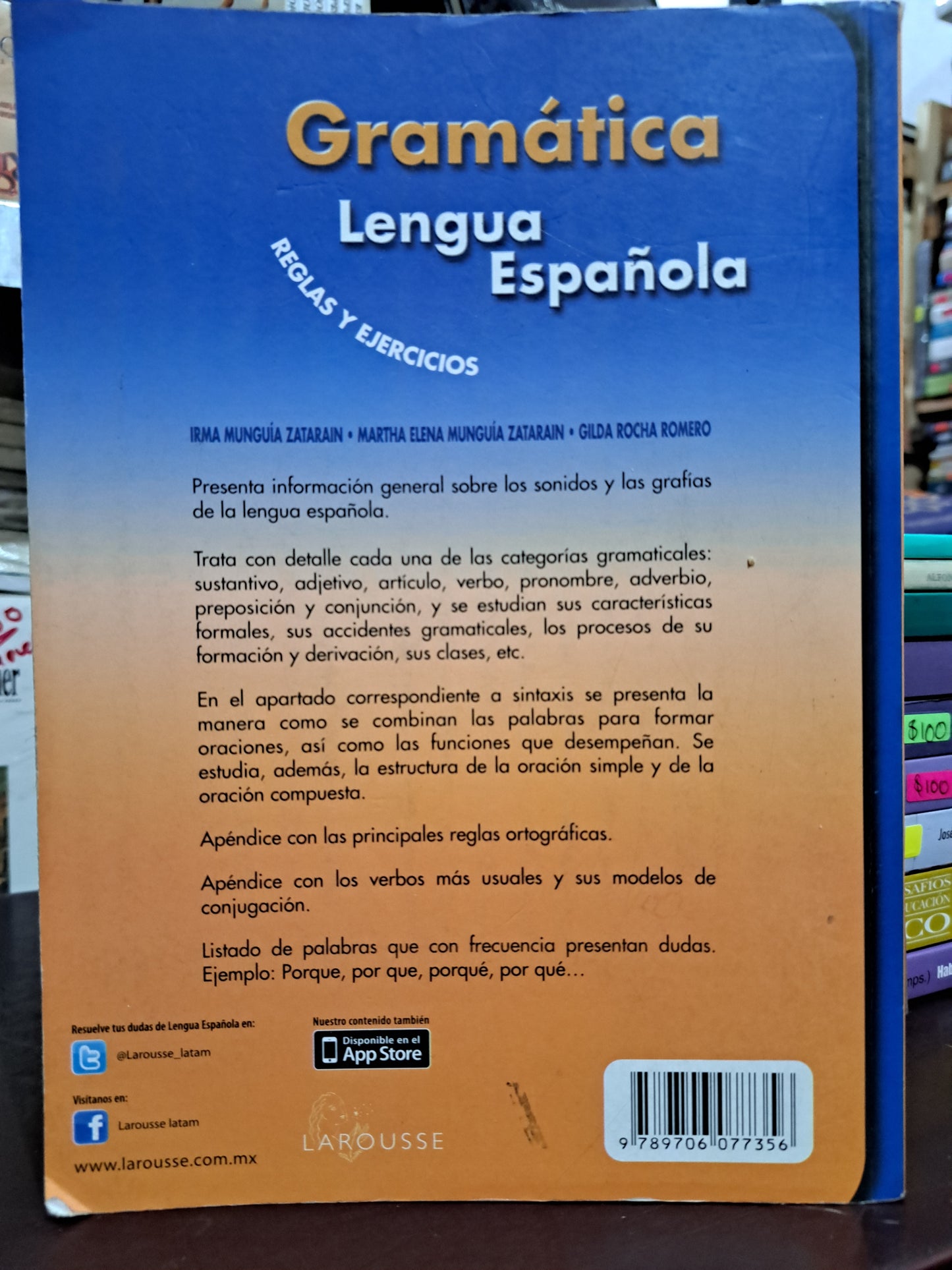 GRAMÁTICA LENGUA ESPAÑOLA REGLAS Y EJERCICIOS USADO EDUCACIÓN LITERARIA 305