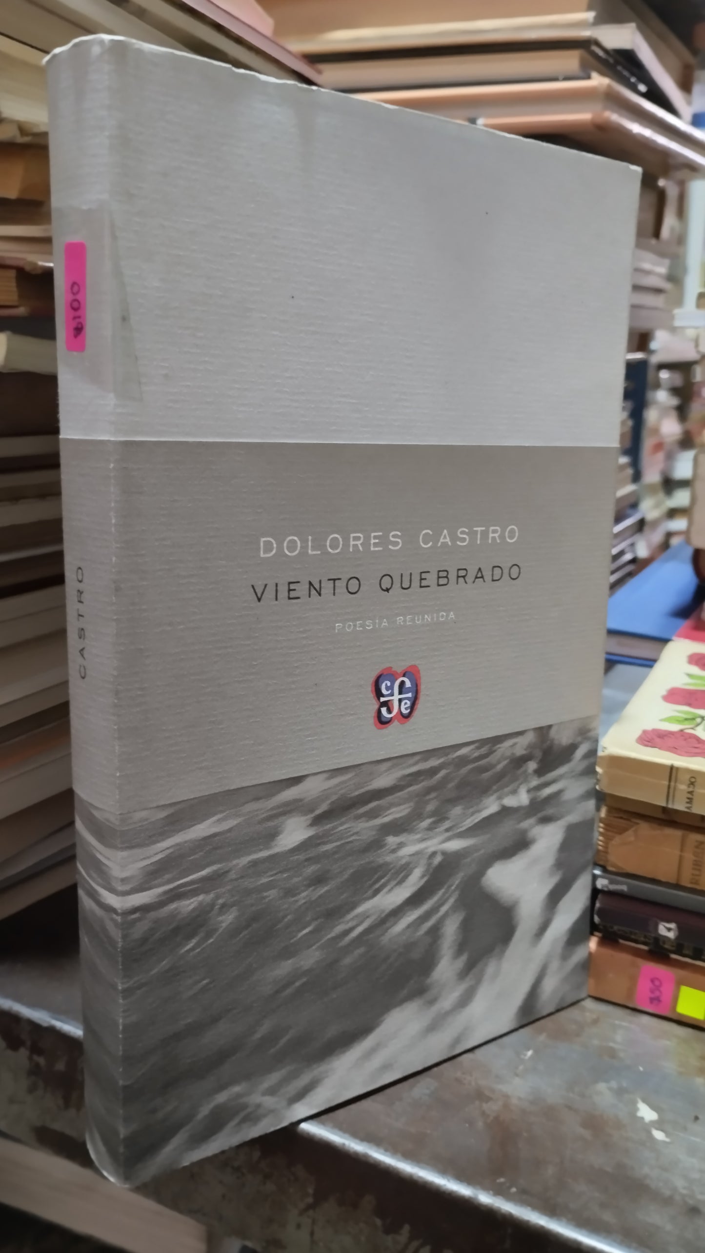 VIENTO QUEBRADO POR DOLORES CASTRO LIBRO USADO POESIA ALDAMA