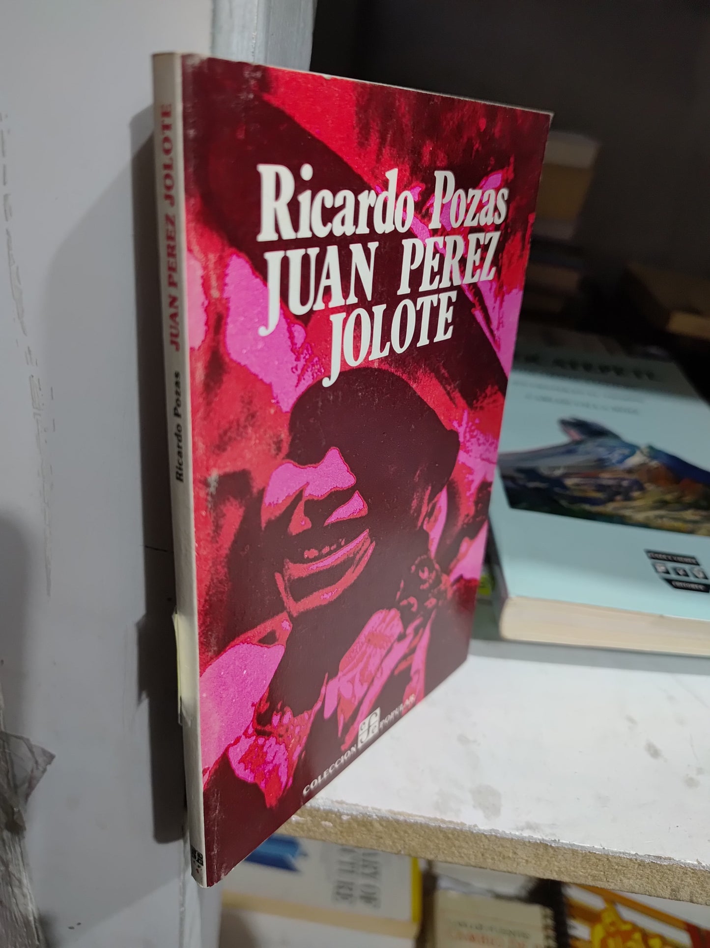 JUAN PEREZ JOLOTE POR RICARDO PEREZ USADO NOVELAS JUAREZ