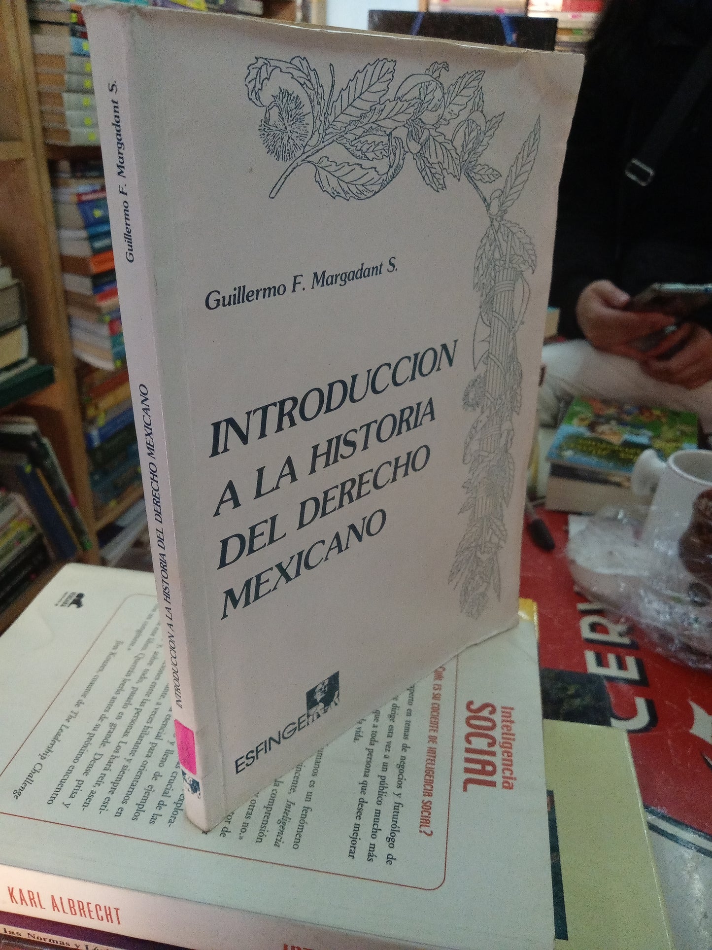INTRODUCCION A LA HISTORIA DEL DERECHO MÉXICANO POR GUILLERMO F MARGADANTS S USADO DERECHO LITERARIO 207