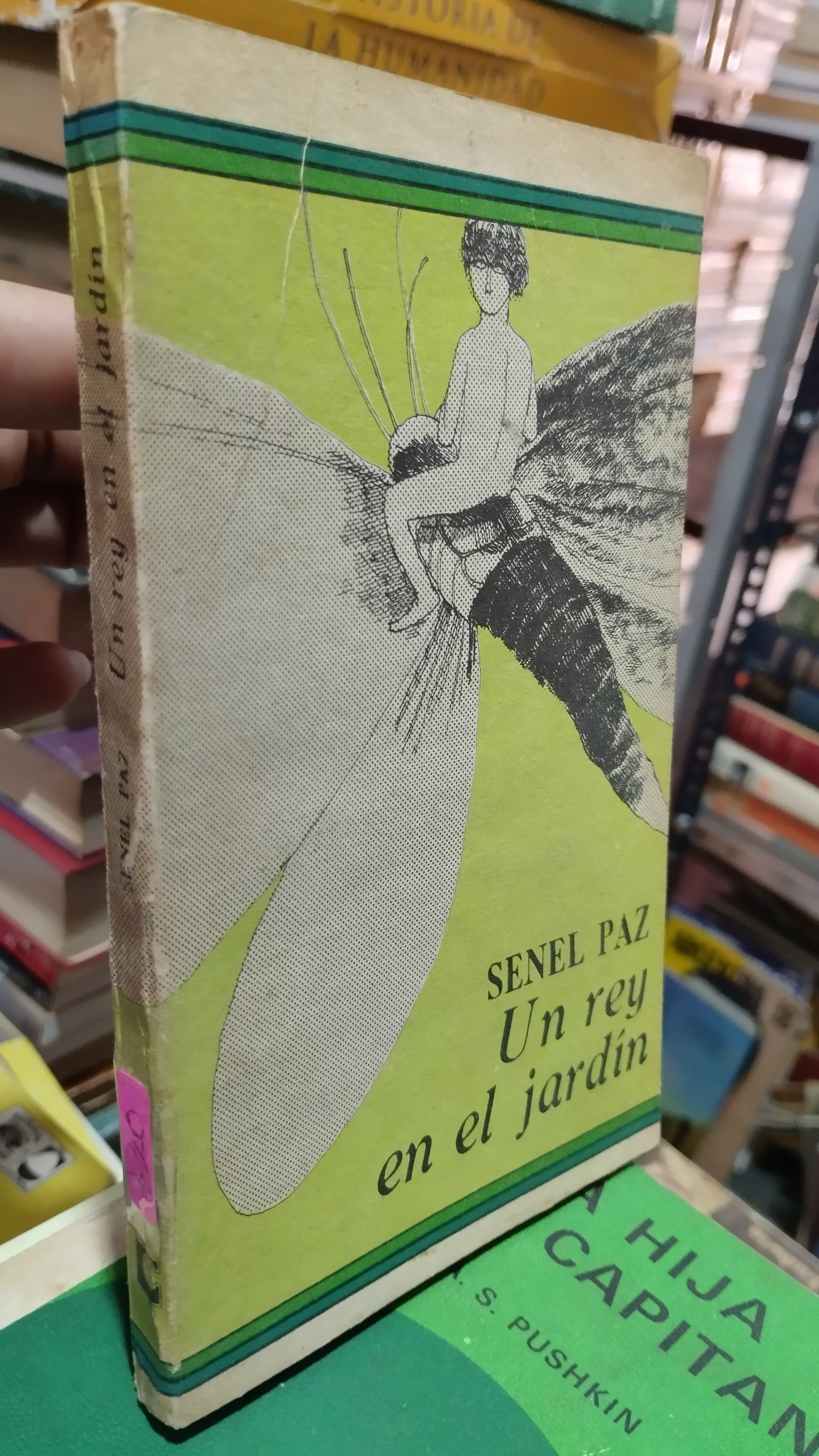UN REY EN EL JARDÍN POR SENEL PAZ LIBRO USADO NOVELAS ALDAMA