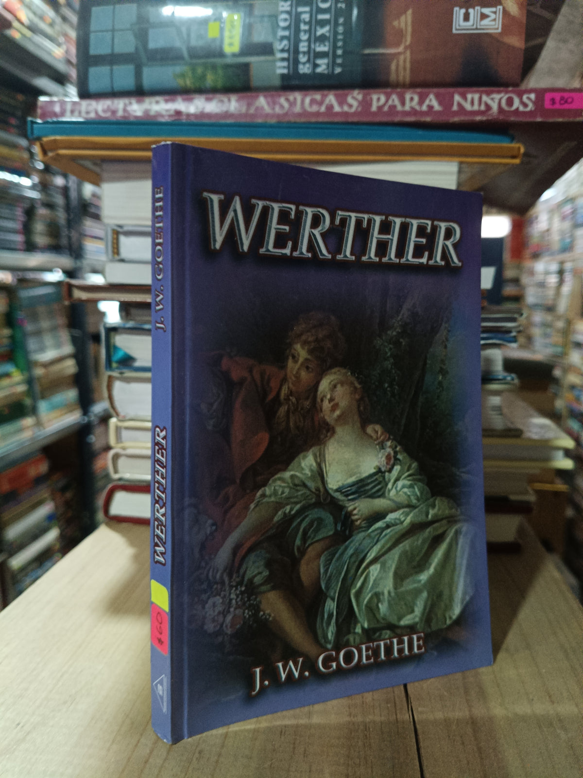 WERTHER POR J.W. GOETHE USADO NOVELA ALDAMA