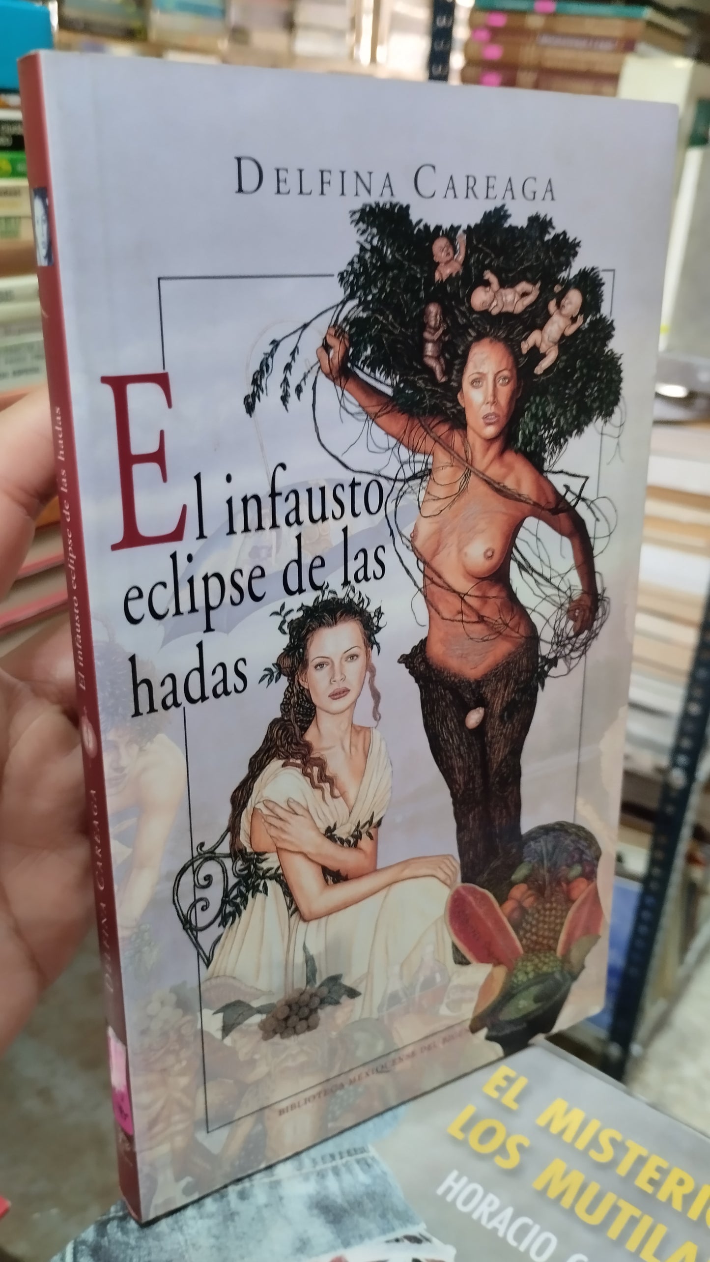 EL INFAUSTO ECLIPSE DE LAS HADAS POR DELFINA CAREAGA LIBRO USADO NOVELAS ALDAMA