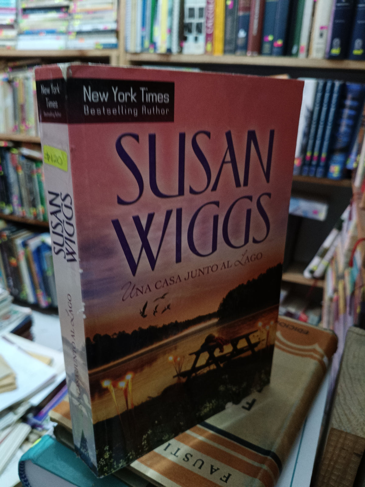 UNA CASA JUNTO AL LAGO SUSAN WIGGS USADO NOVELA LITERARIO 305