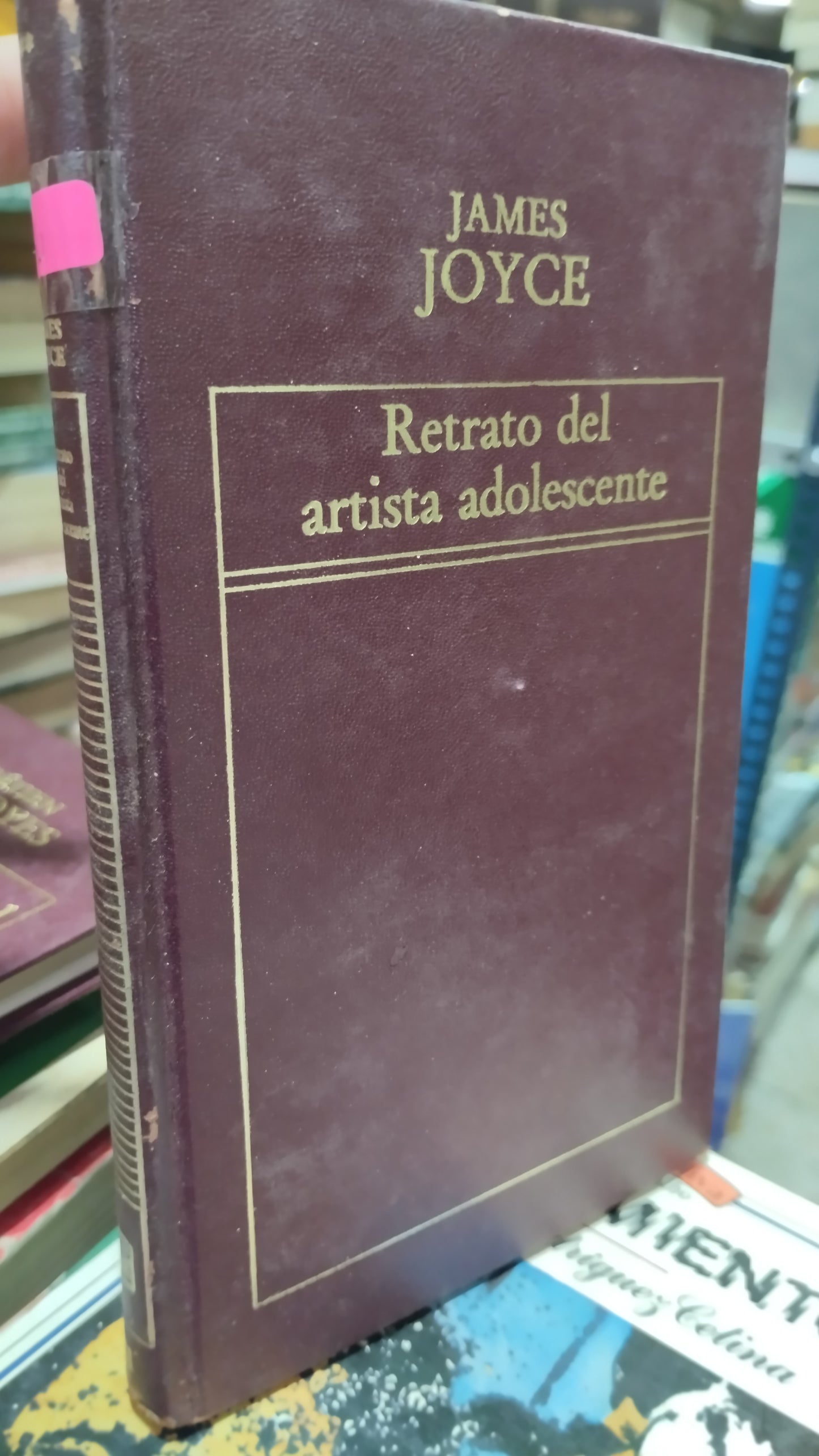RETRATO DEL ARISTA ADOLESCENTE POR JAMES JOYCE LIBRO USADO NOVELAS ALDAMA