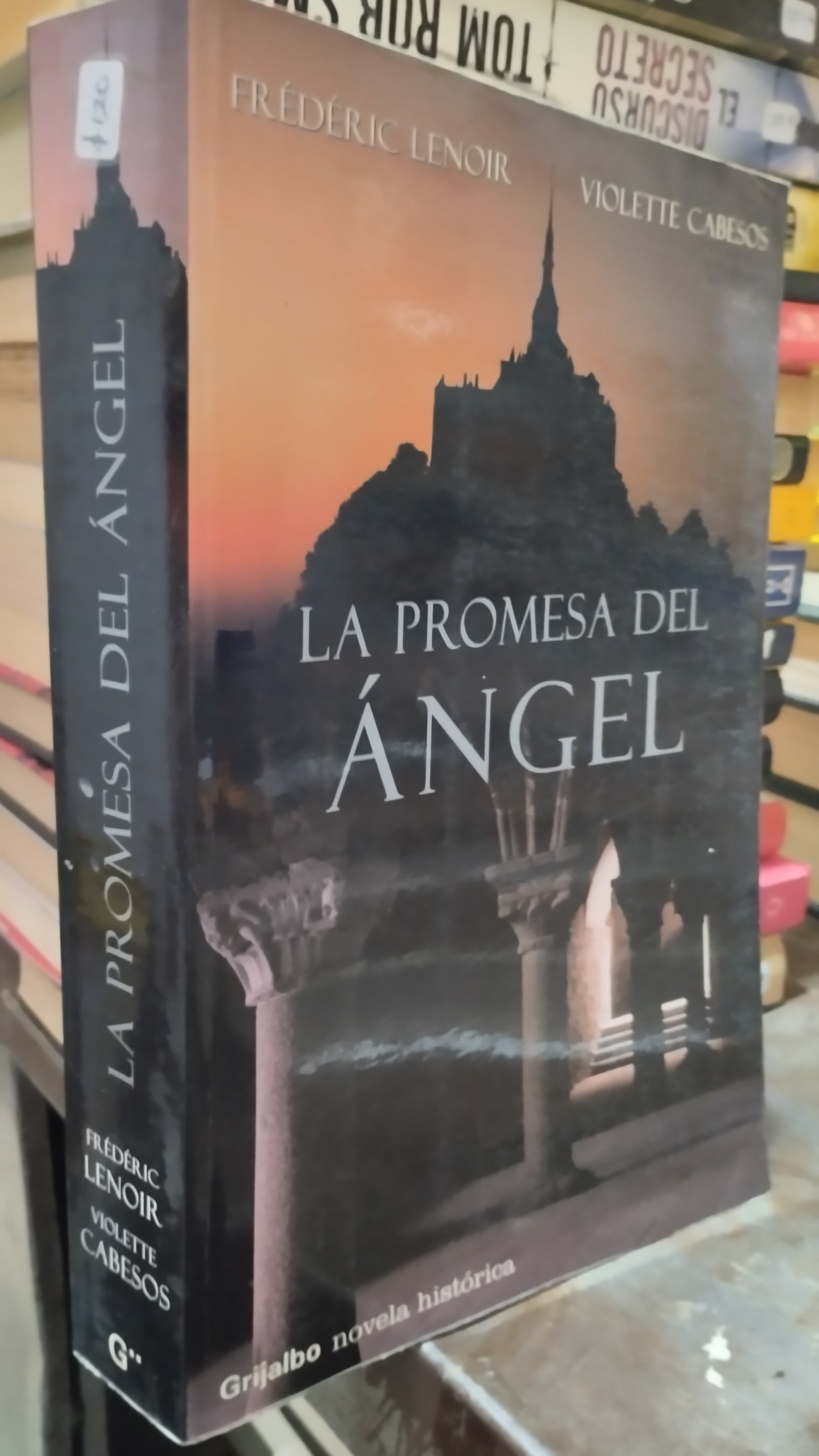 LA PROMESA DEL ANGEL POR FREDERIC LENOIR LIBRO USADO NOVELAS ALDAMA