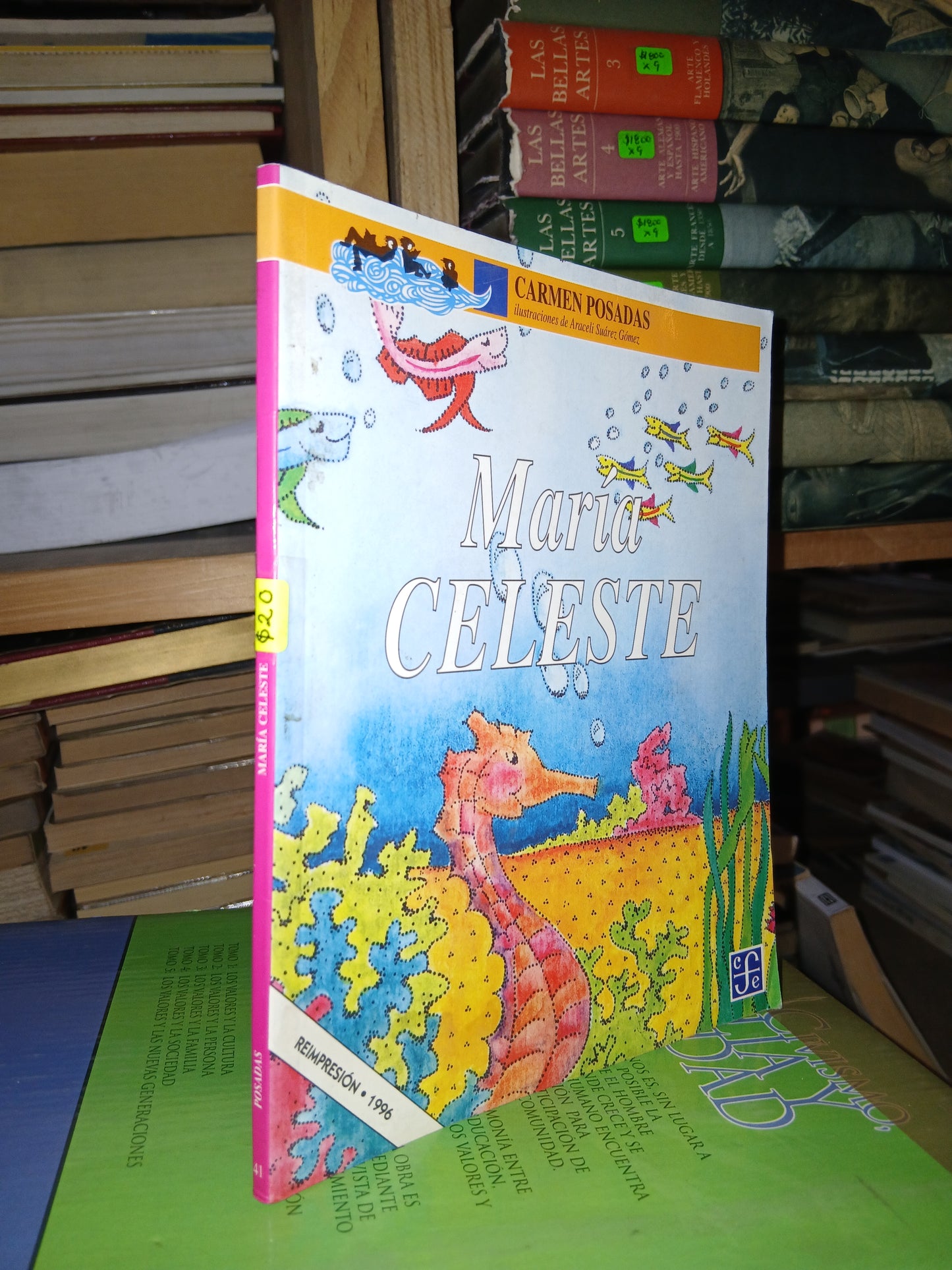 MARÍA CELESTE POR CARMEN POSADAS USADO INFANTIL LITERARIO 207