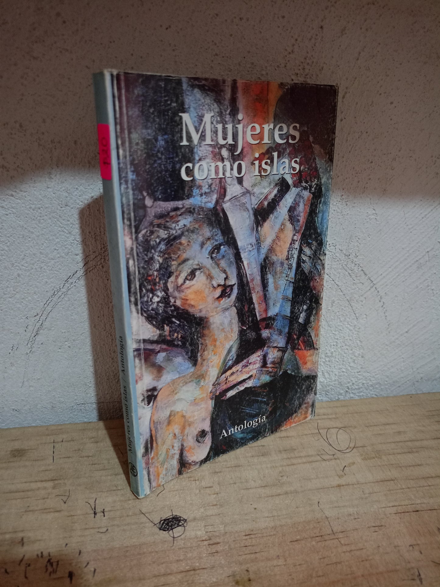 MUJERES COMO ISLAS ANTOLOGÍA USADO NOVELA LITERARIO 305